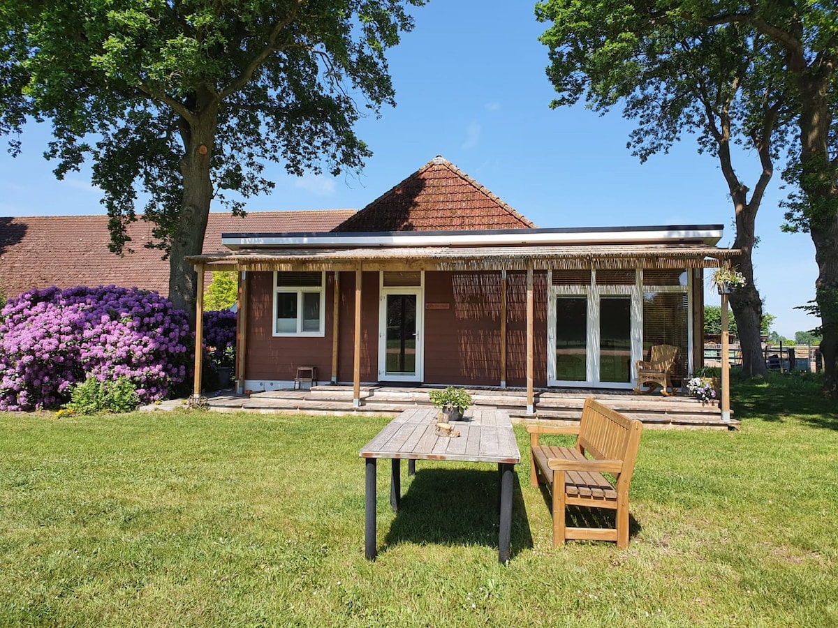 The modern vacation home features a wooden exterior with a covered porch area. A rustic table and wooden bench are positioned on the lawn, surrounded by lush green grass and colorful flowering shrubs. Large windows allow natural light to enhance the interior ambiance.