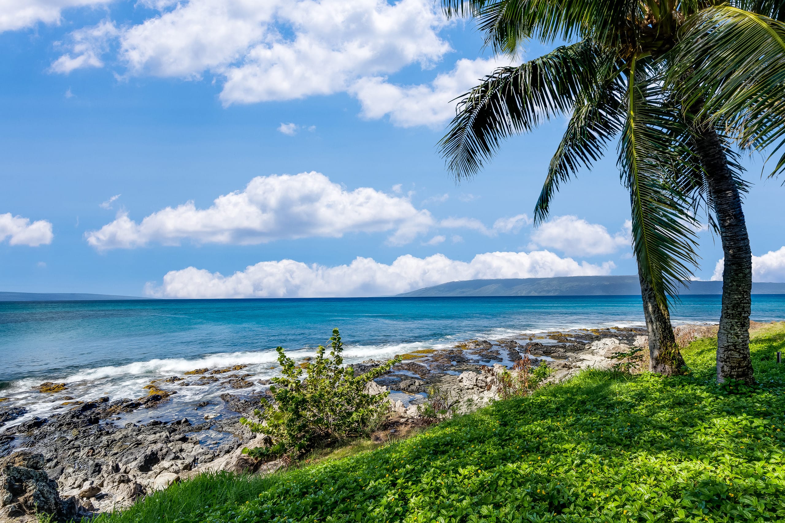 Condo in Lahaina · ★4.87 · 2 bedrooms · 3 beds · 2 baths - Image 43