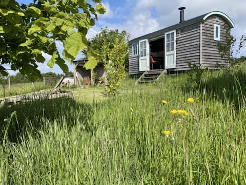 Astronomer Shepherd's hut
