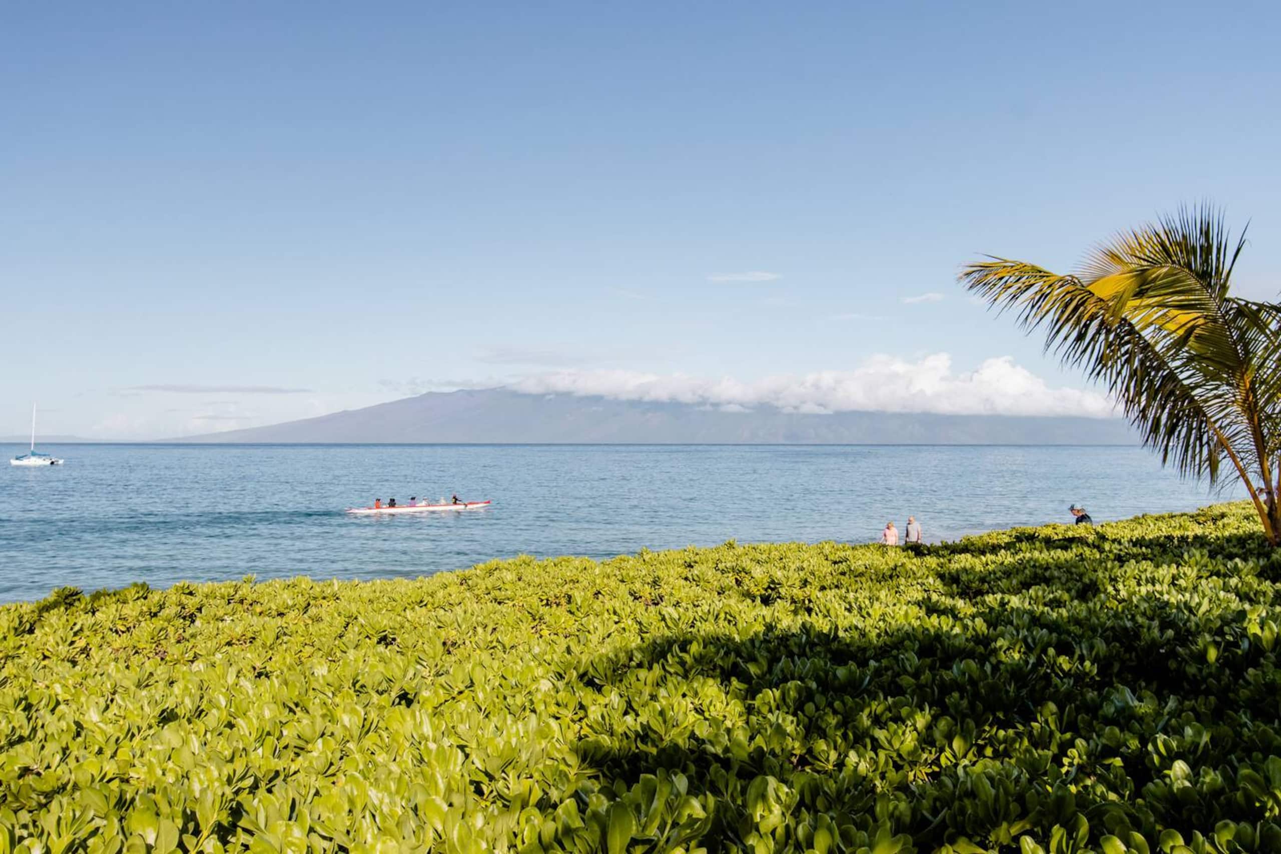 Steps to Kaanapali Beach, garden studio, king bed - Photo 44