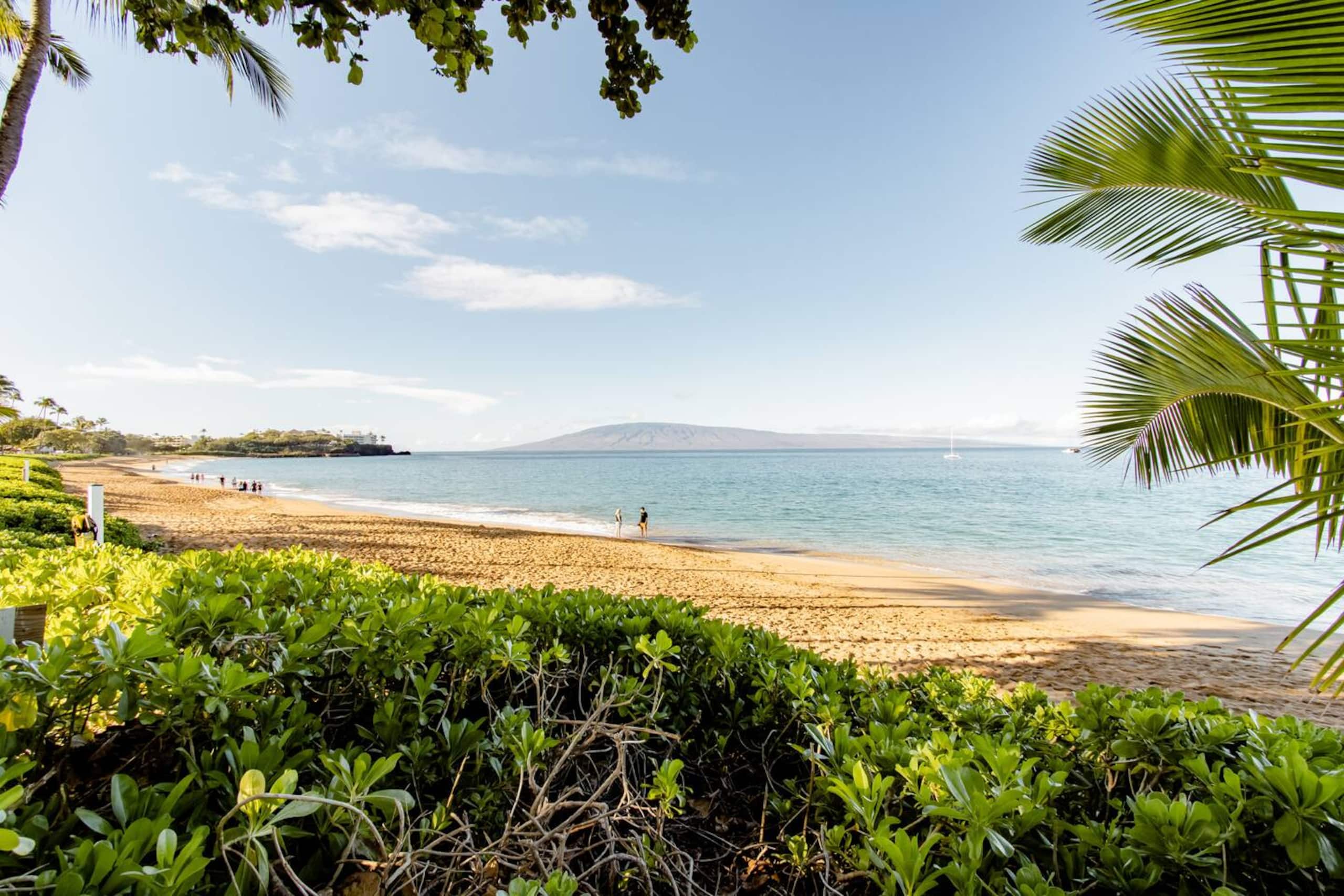 Steps to Kaanapali Beach, garden studio, king bed - Photo 43