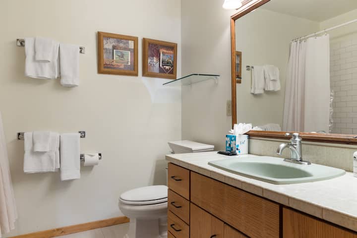 Downstairs Guest Bathroom