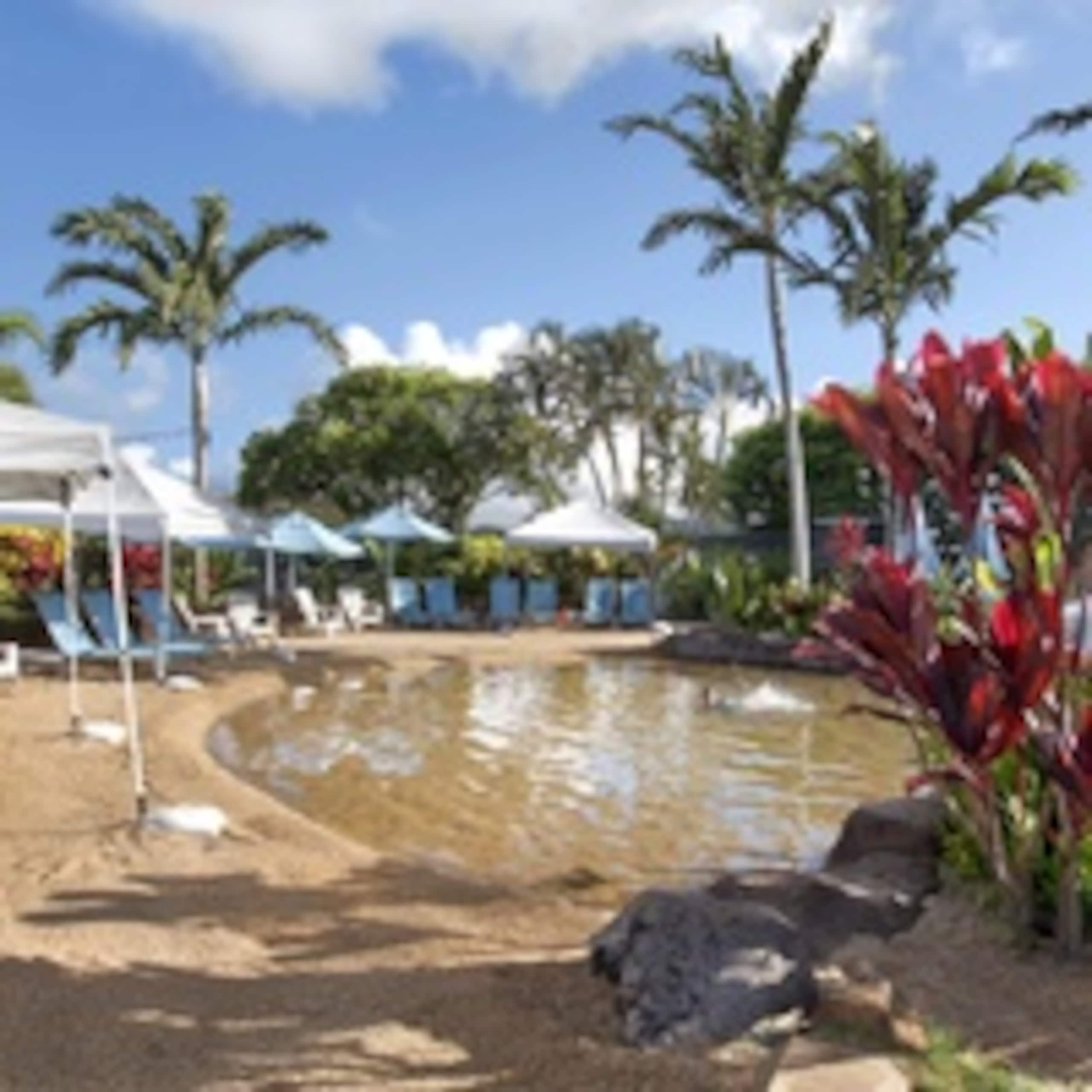 Condo in Koloa · ★4.94 · 3 bedrooms · 4 beds · 2.5 baths - Image 7