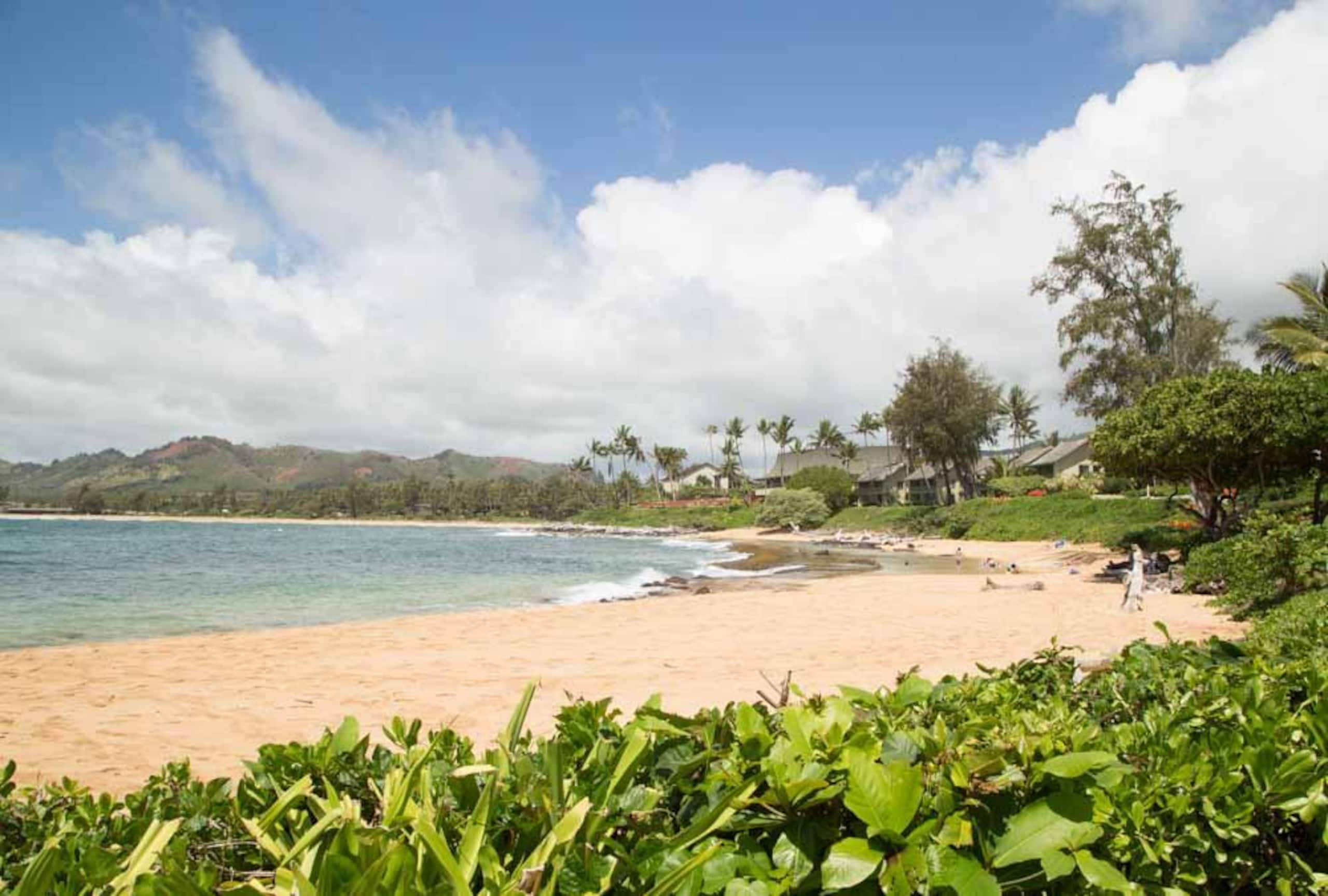 Condo in Kapaa · ★4.71 · 1 bedroom · 1 bed · 1.5 baths - Image 33