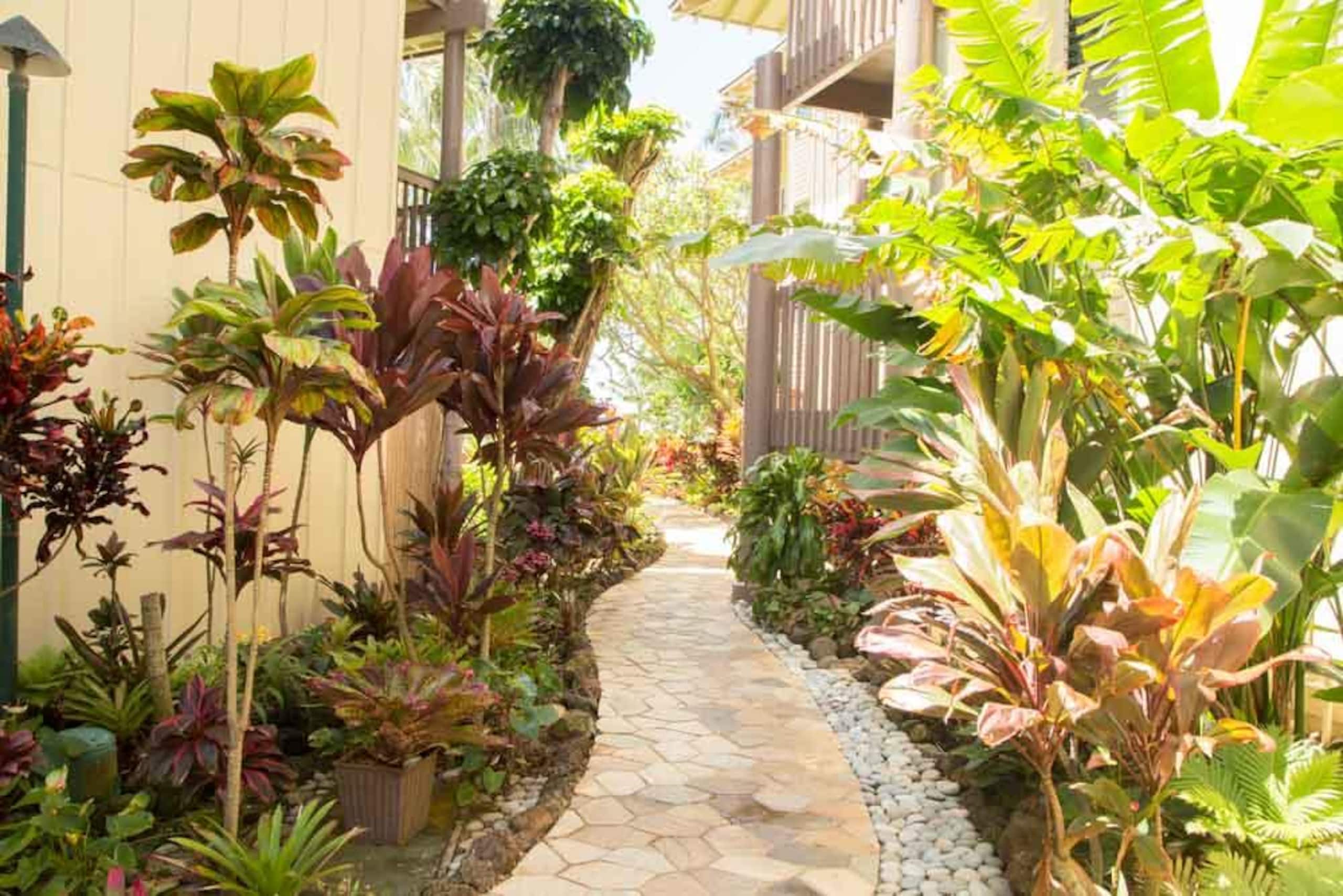 Condo in Kapaa · ★4.71 · 1 bedroom · 1 bed · 1.5 baths - Image 27