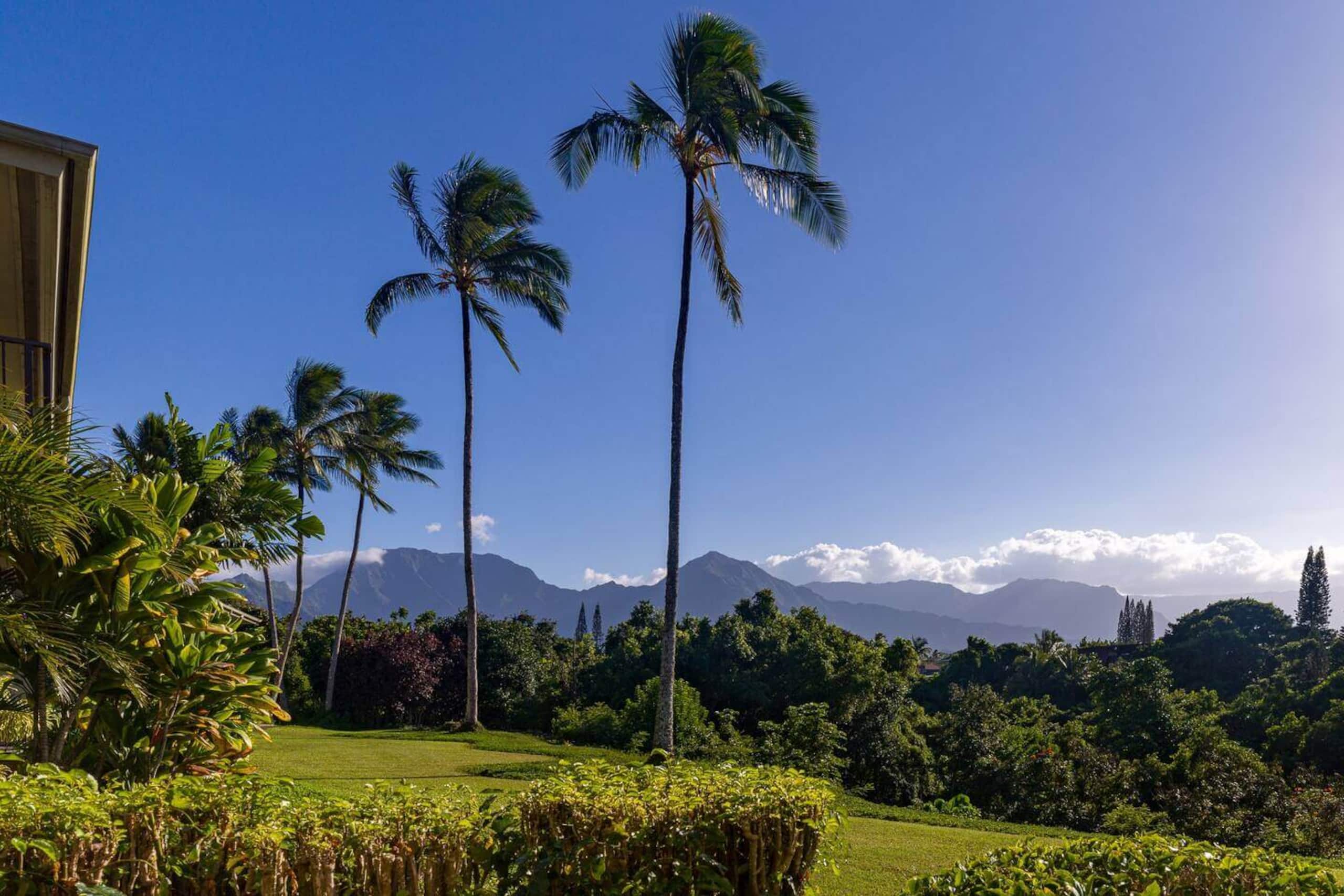 Condo in Princeville · ★4.94 · 2 bedrooms · 2 beds · 2 private baths - Image 24