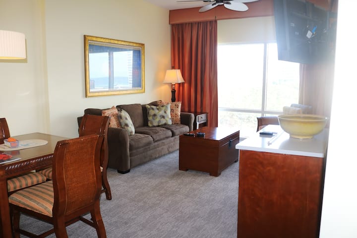 Large living room with pull out couch