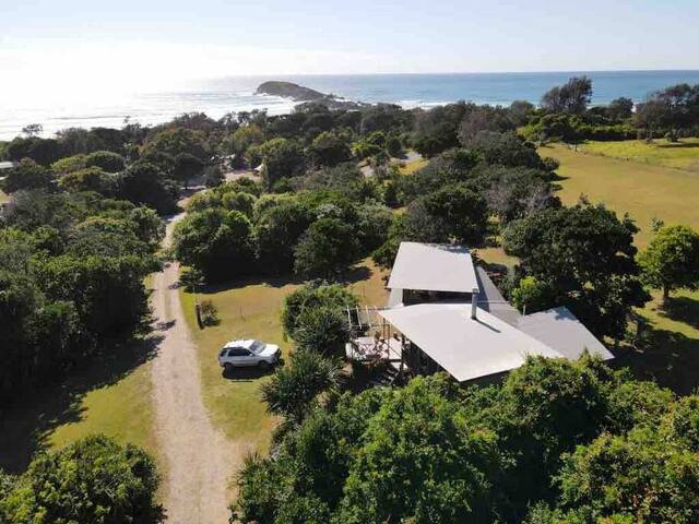 Delicate Nobby Artist Studio gallery image 3