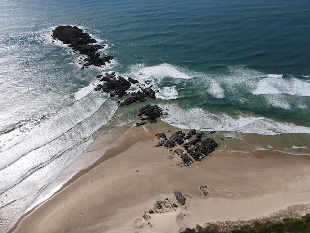 Delicate Nobby Artist Studio