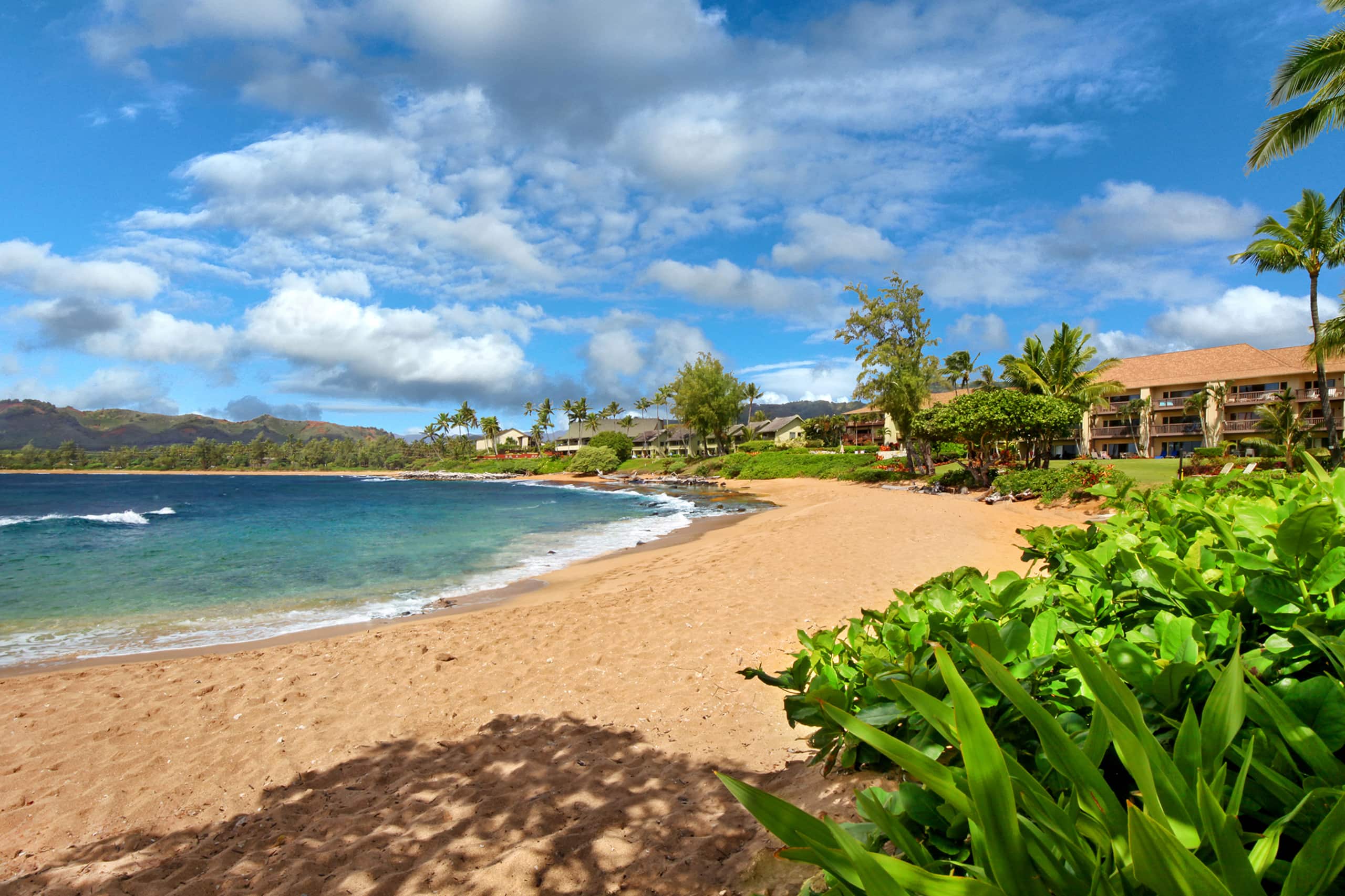 Condo in Kapaa · ★4.88 · 1 bedroom · 2 beds · 1 bath - Image 29