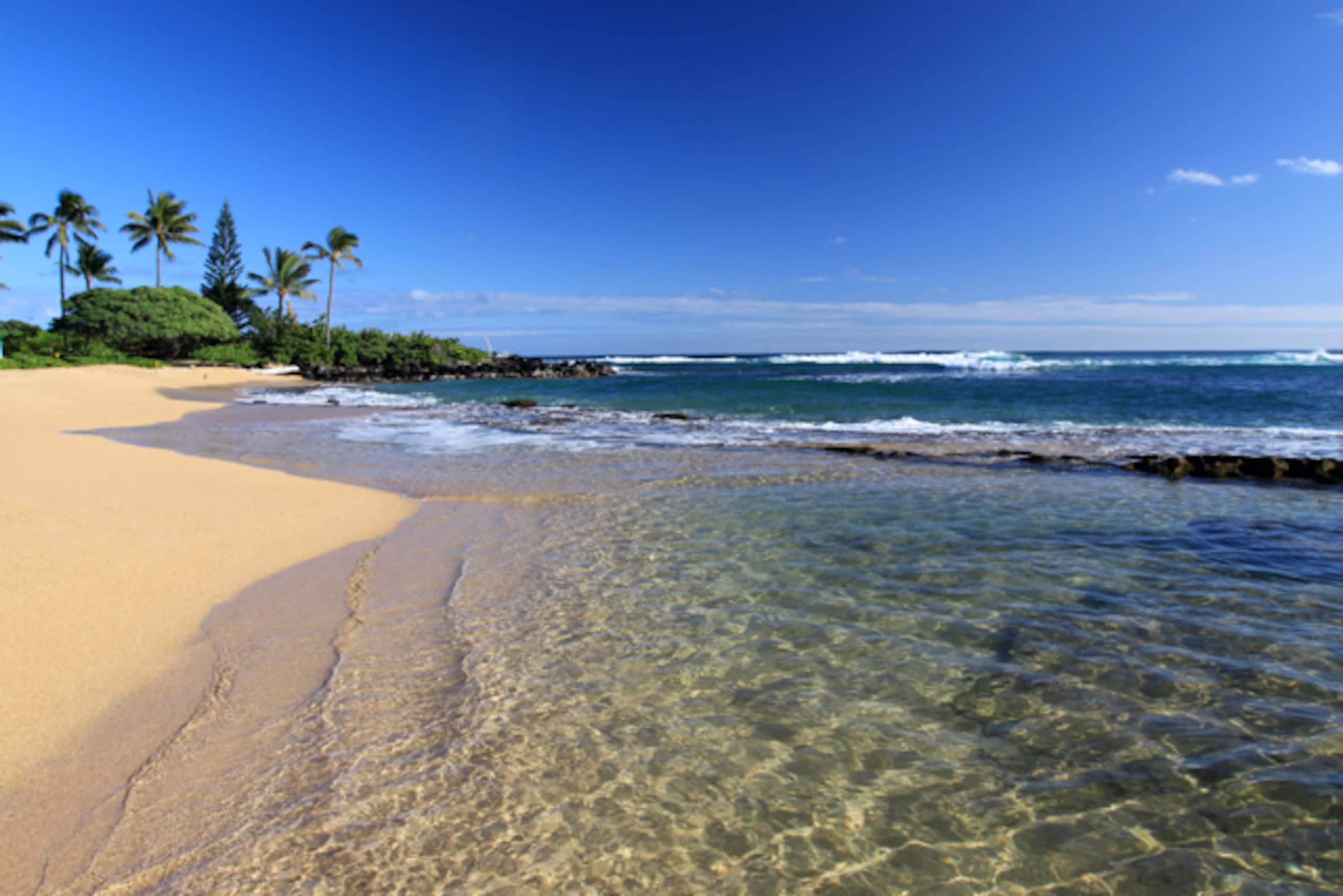 Condo in Kapaa · ★4.88 · 1 bedroom · 2 beds · 1 bath - Image 28