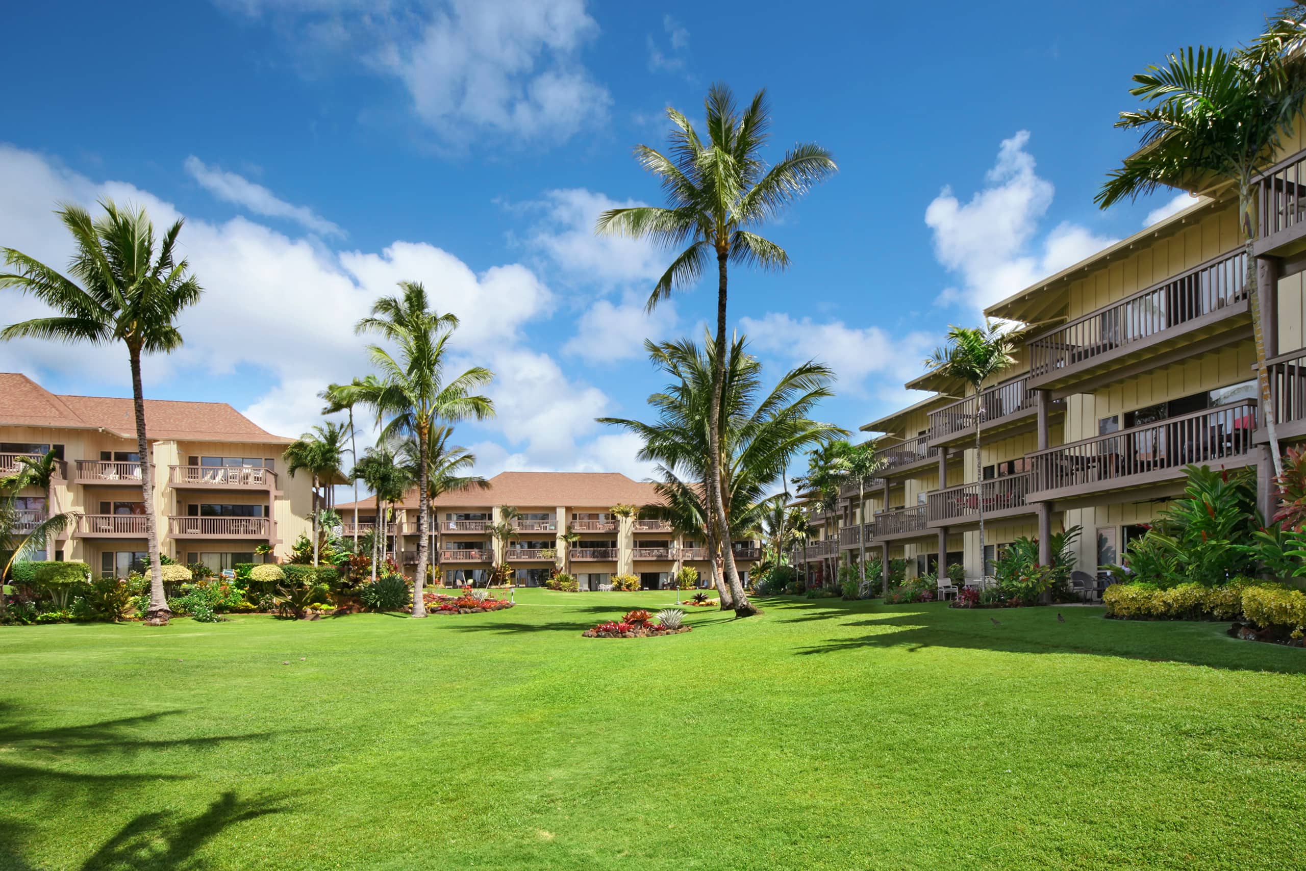 Condo in Kapaa · ★4.88 · 1 bedroom · 2 beds · 1 bath - Image 19