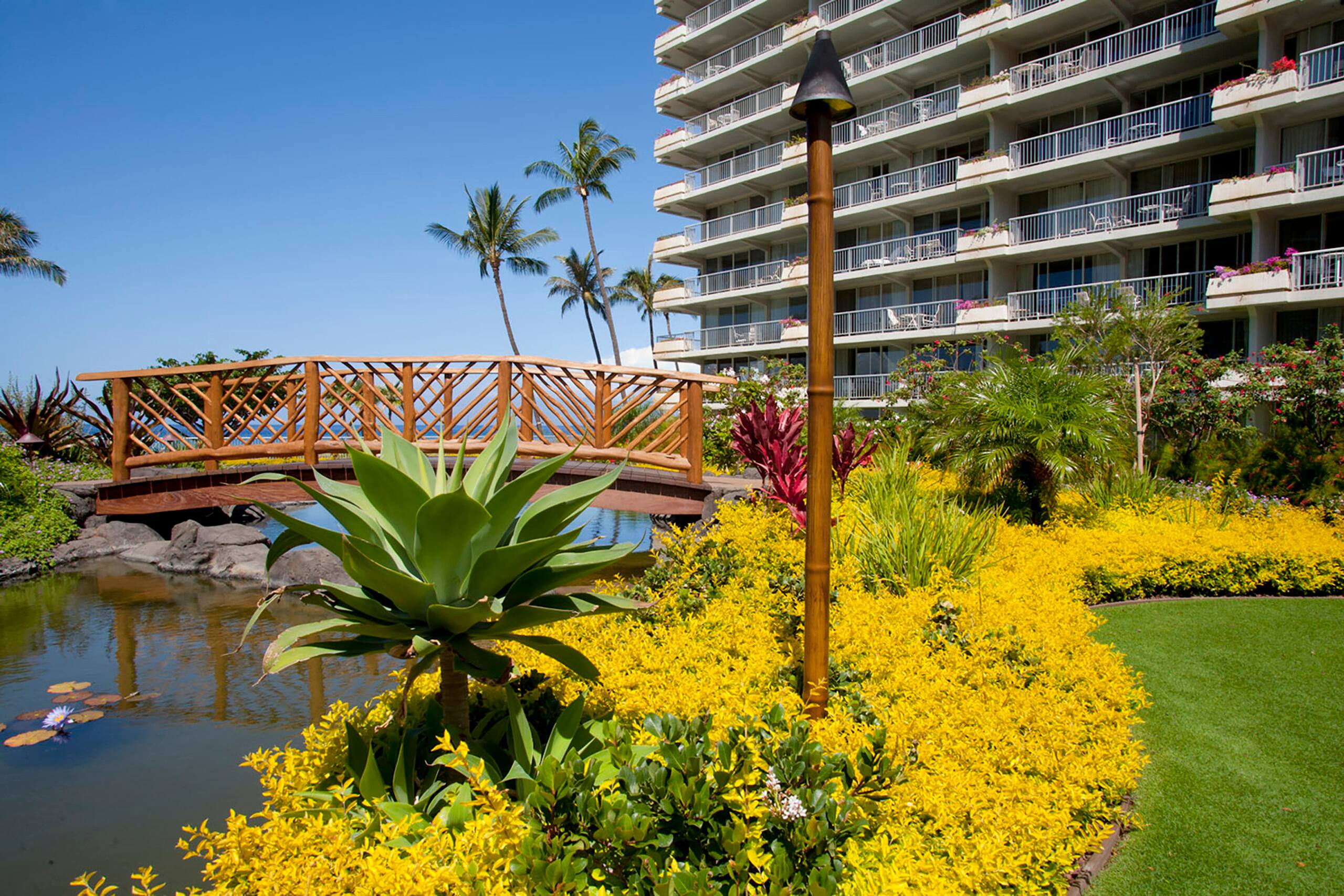 Condo in Lahaina · ★5.0 · 1 bedroom · 2 beds · 2 baths - Image 46
