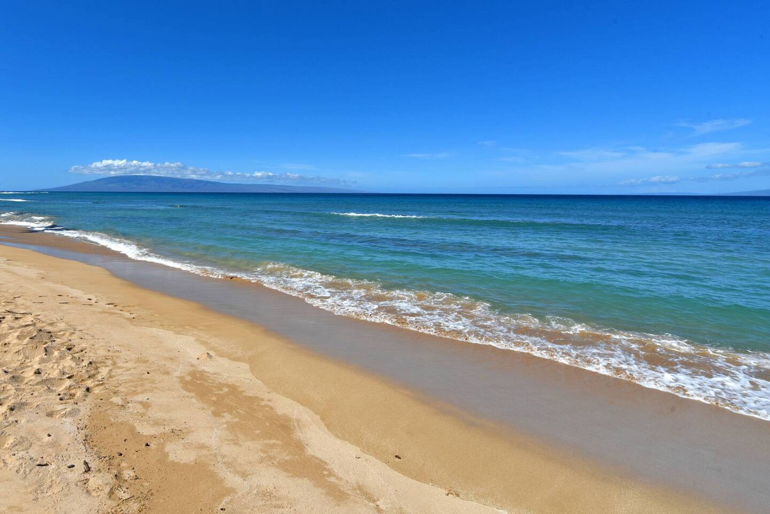 Condo in Lahaina · ★4.6 · 1 bedroom · 2 beds · 1 bath - Image 52