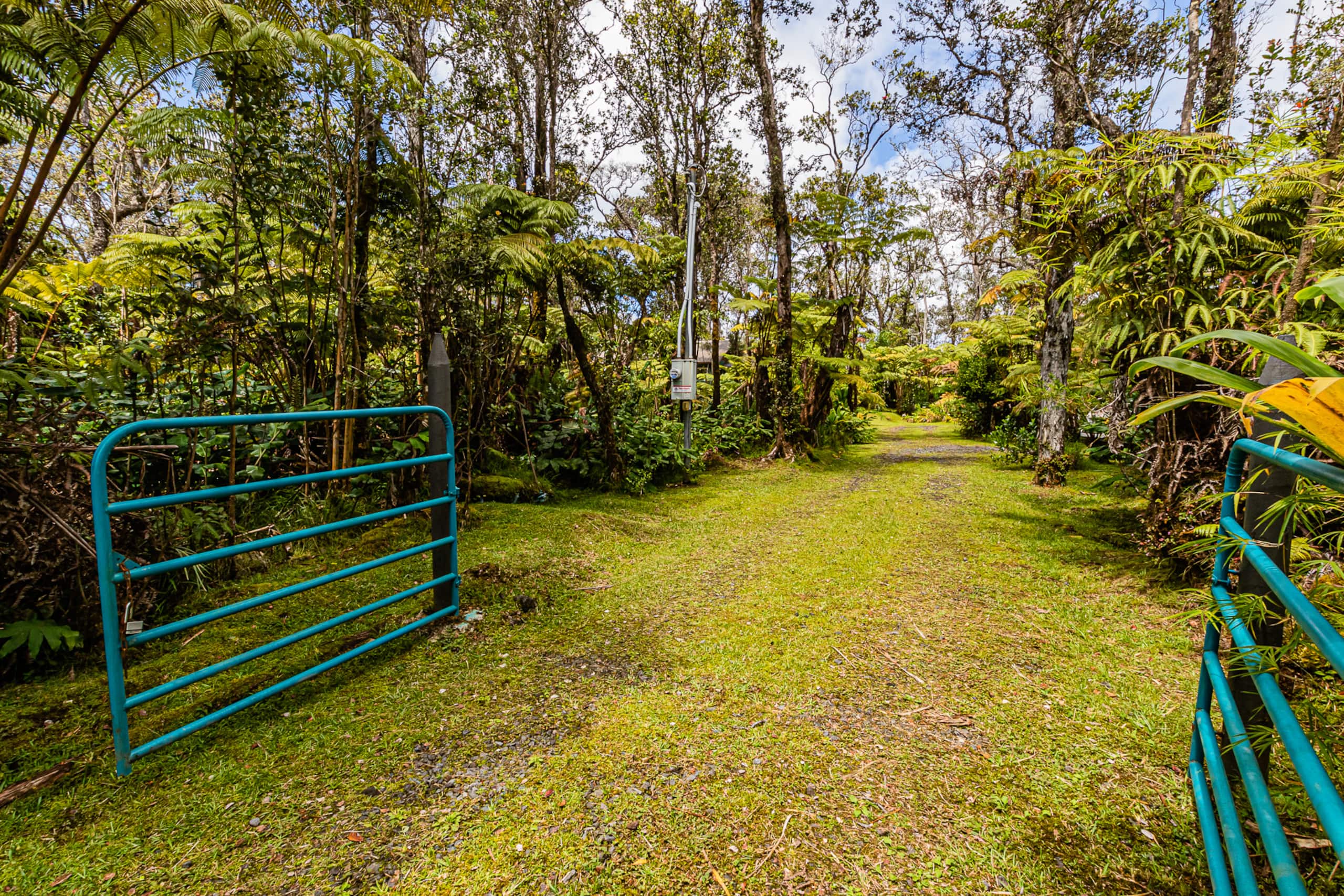 Home in Volcano · ★4.9 · 1 bedroom · 1 bed · 1 bath - Image 10