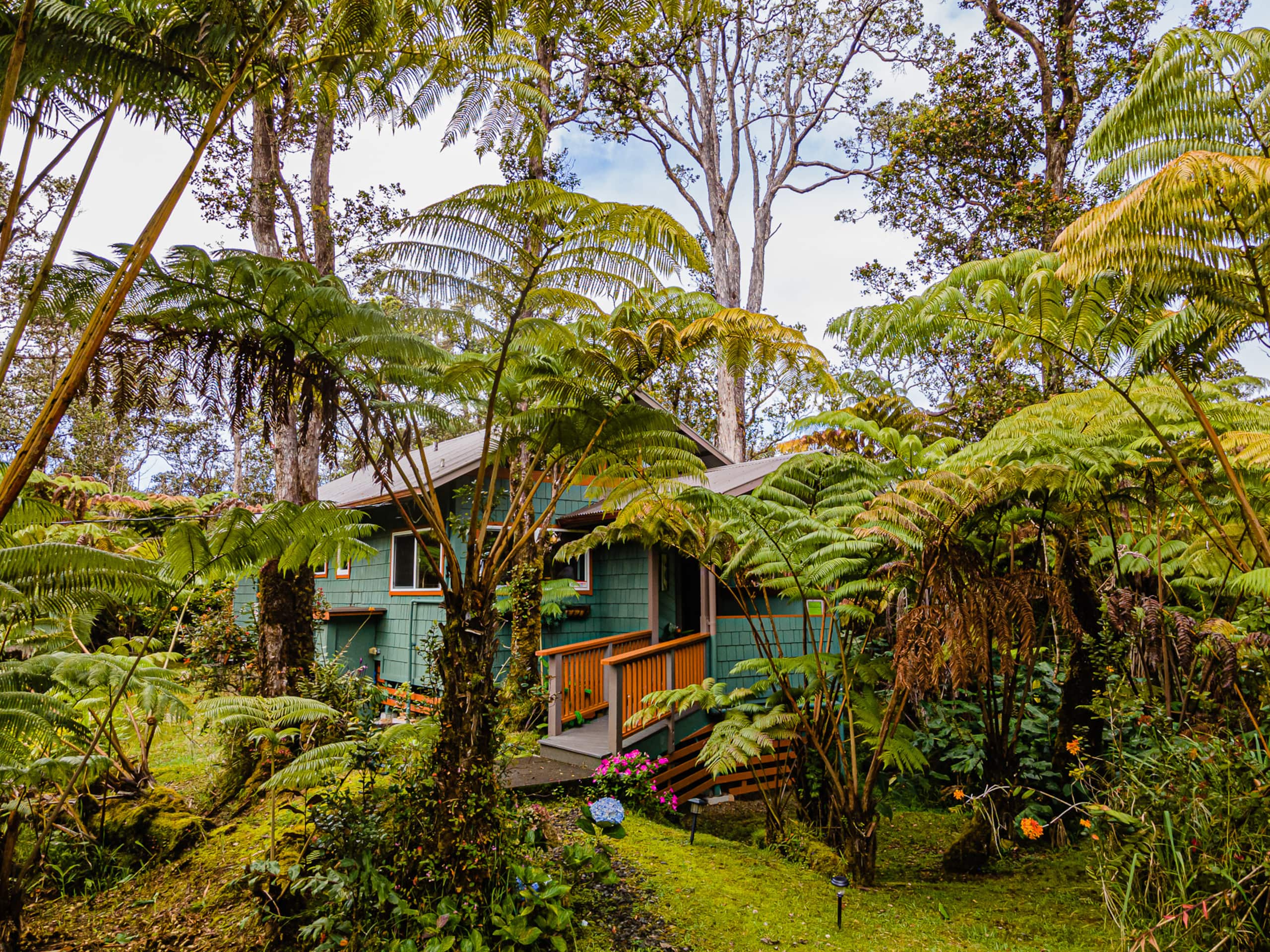 Home in Volcano · ★4.9 · 1 bedroom · 1 bed · 1 bath - Image 1