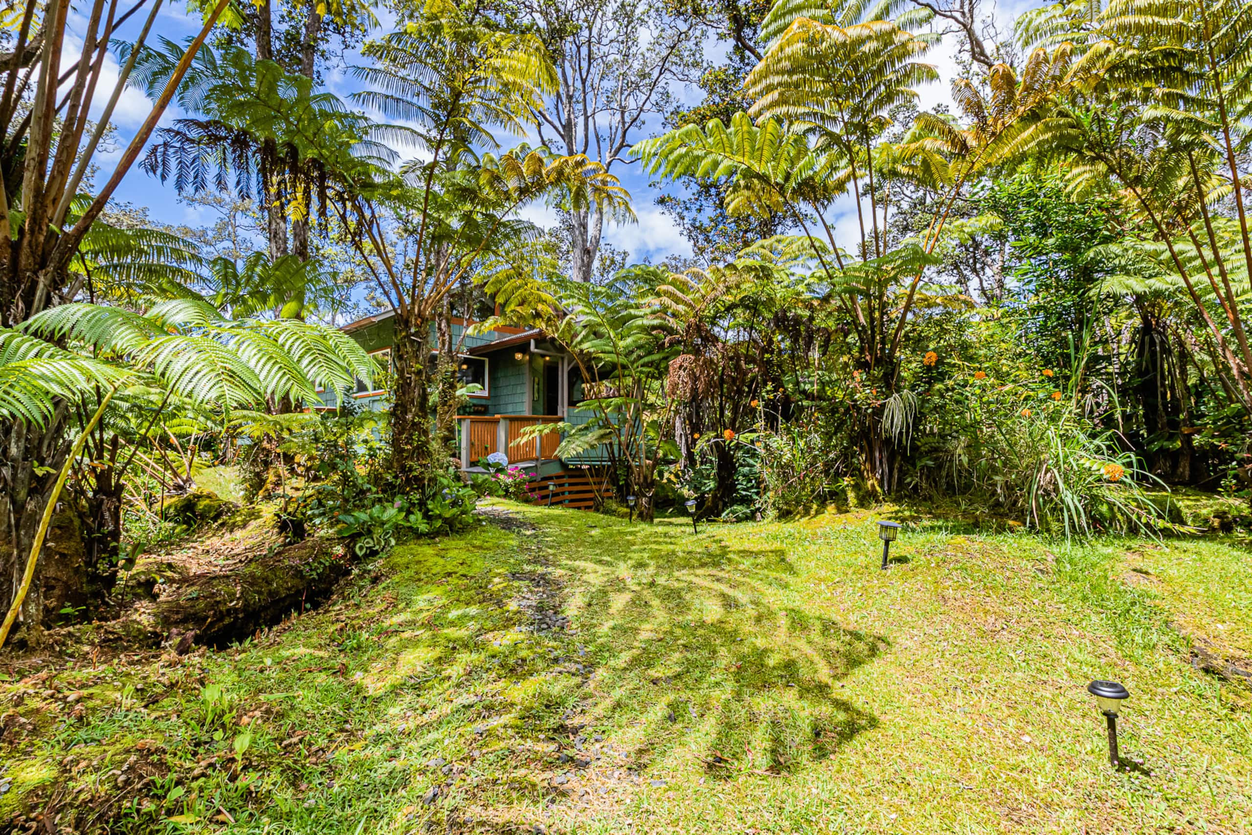 Home in Volcano · ★4.9 · 1 bedroom · 1 bed · 1 bath - Image 11