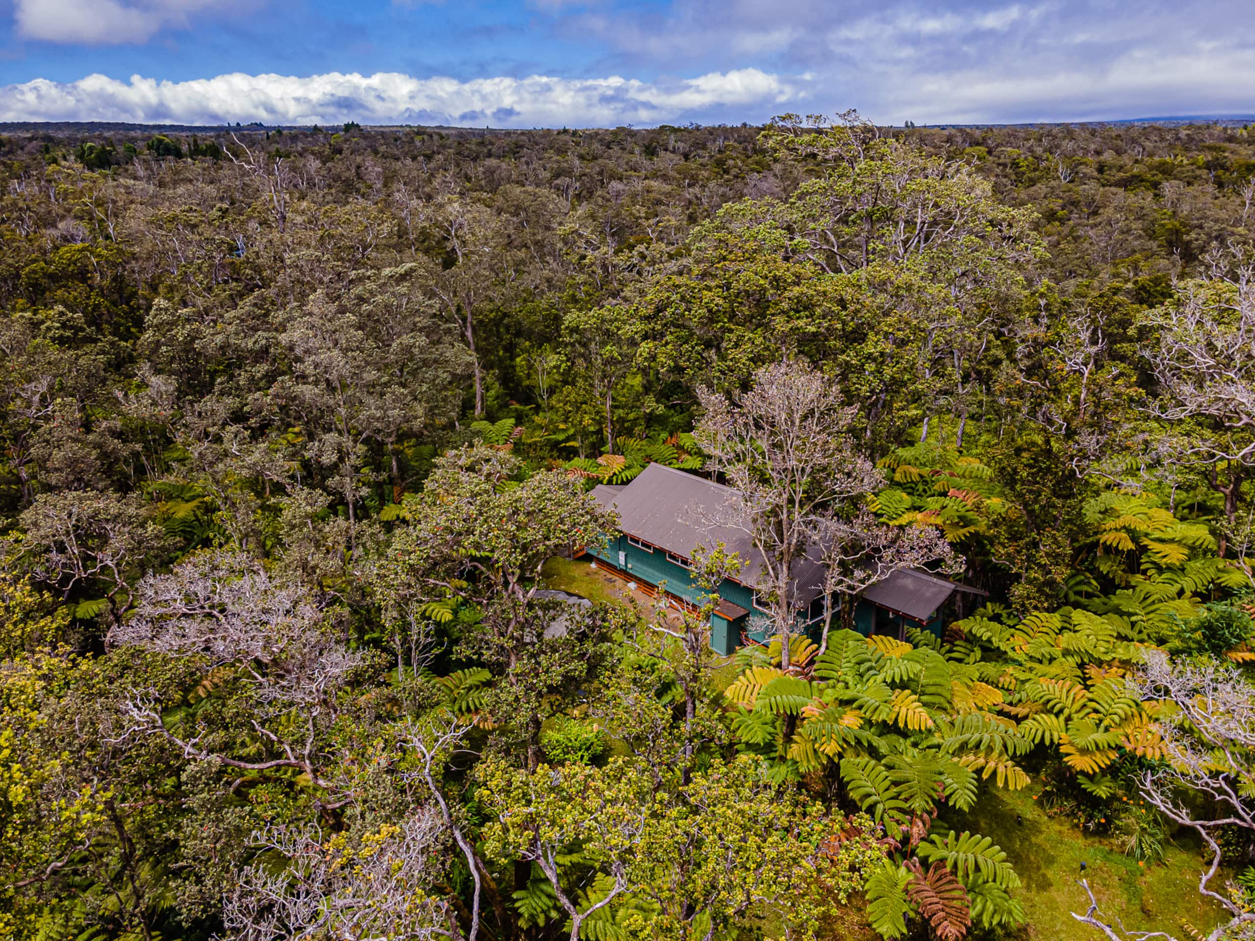 Home in Volcano · ★4.9 · 1 bedroom · 1 bed · 1 bath - Image 25