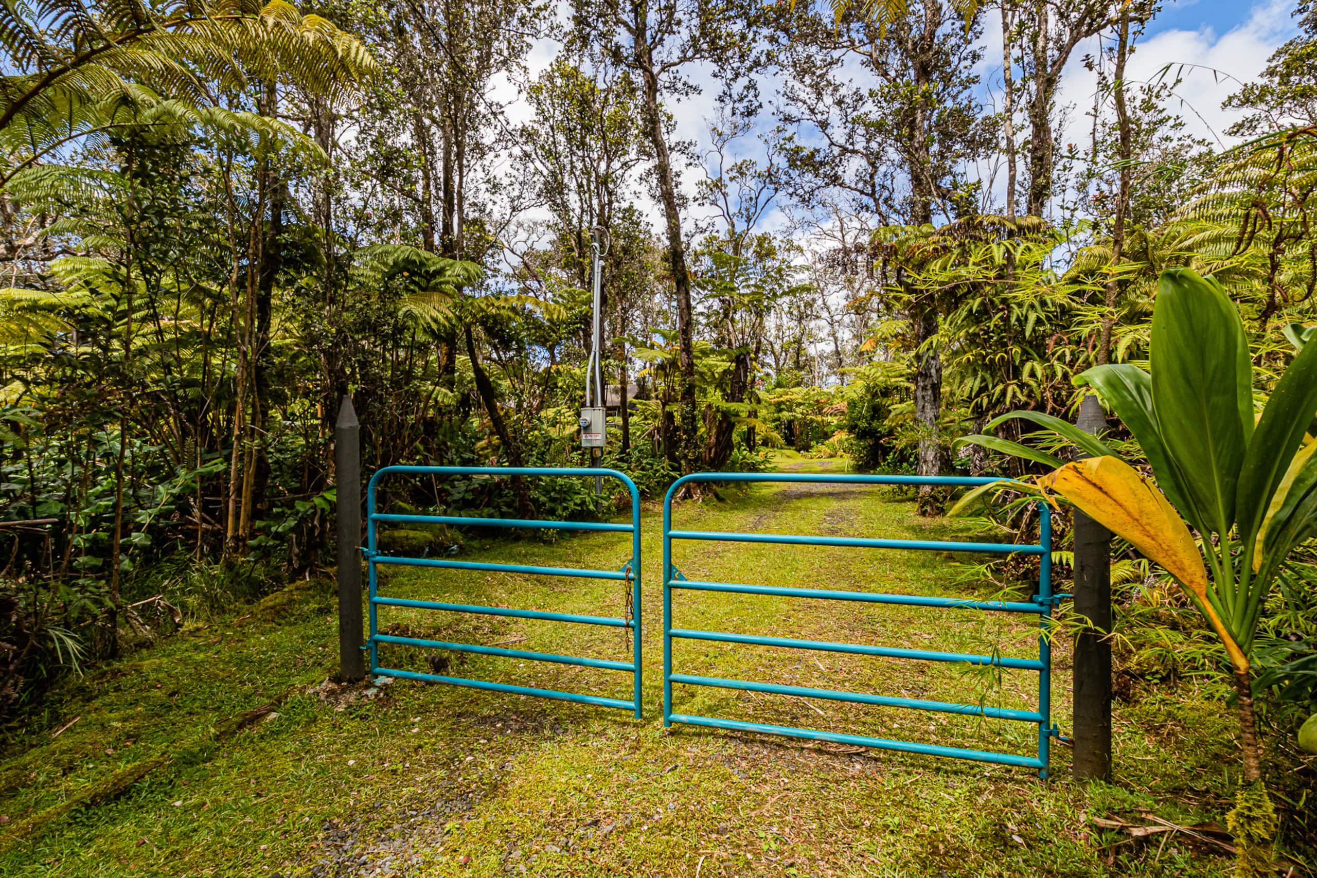 Home in Volcano · ★4.9 · 1 bedroom · 1 bed · 1 bath - Image 22