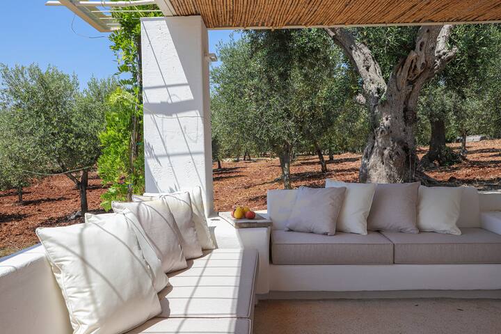 TD Casa Lulù Panoramic Pool Over Med Scrub gallery image 4