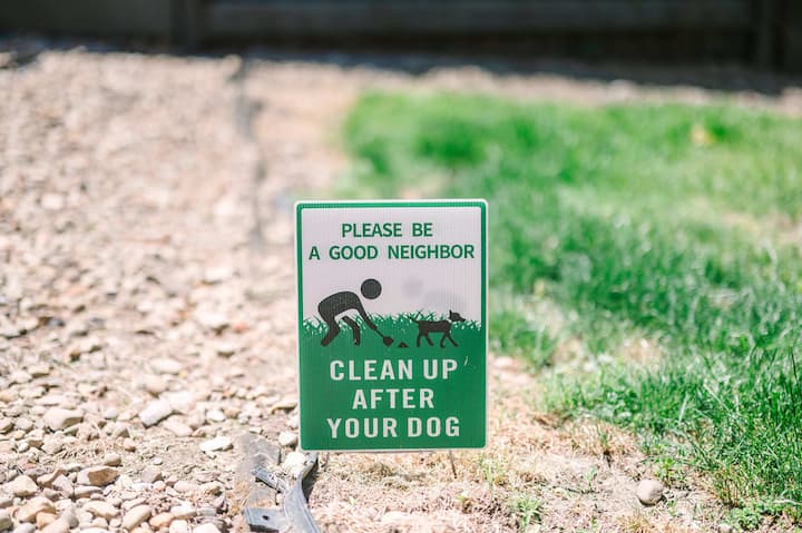 Შემოღობილია ეზოში