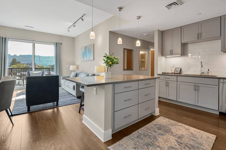 Two King Bedrooms in Downtown Asheville