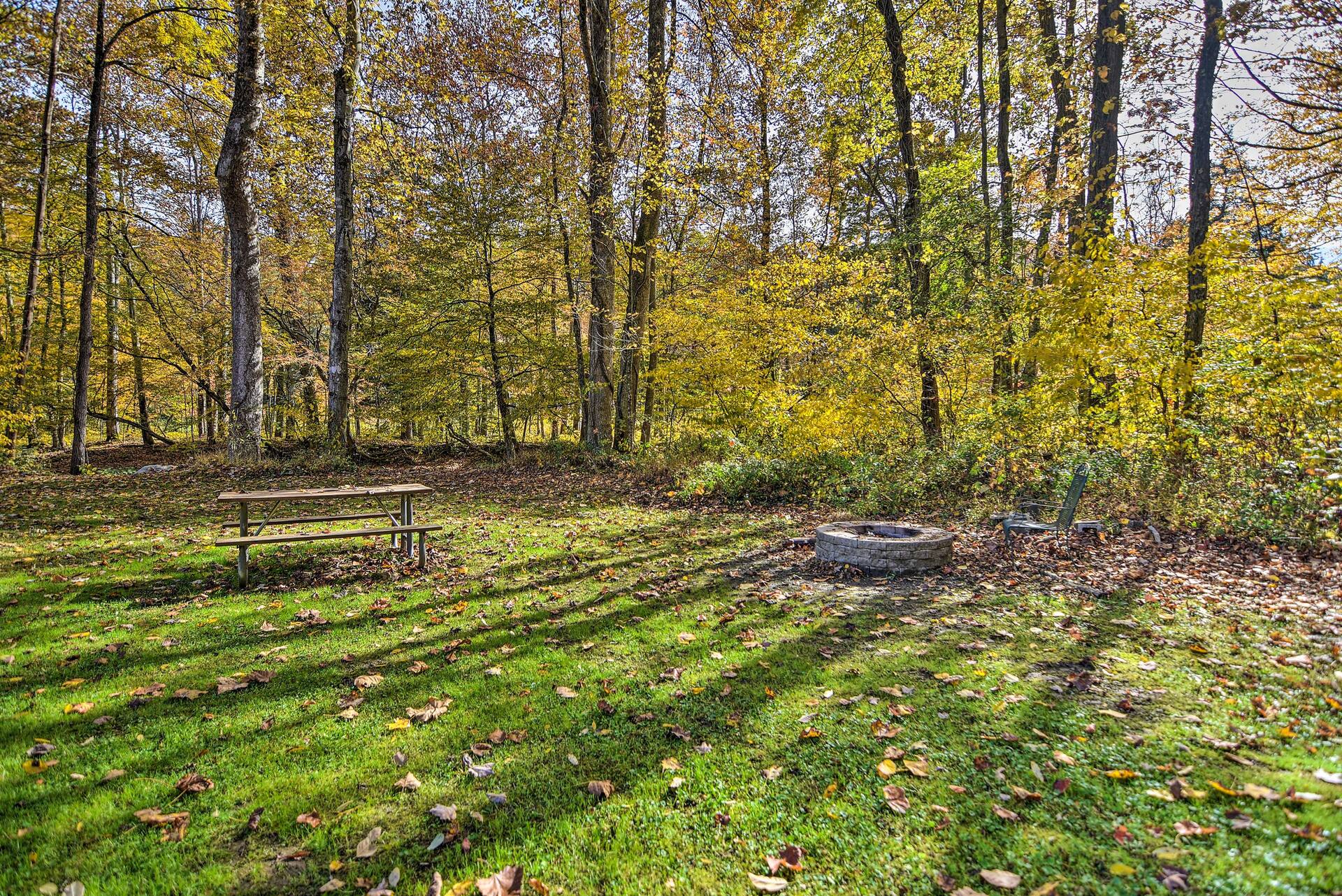 ‘Hooah’ Cabin Retreat w/ Grill & Step-Free Access — photo 3