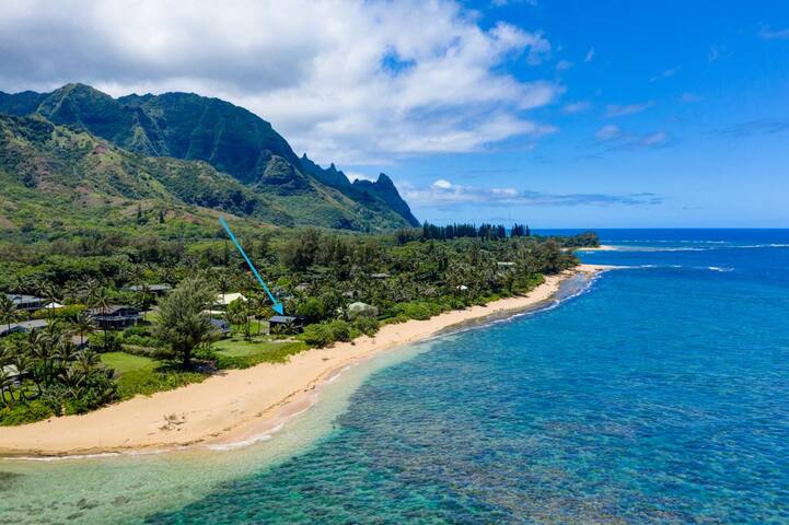Beachfront, Modern Home, Just Steps to the Sand gallery image 3