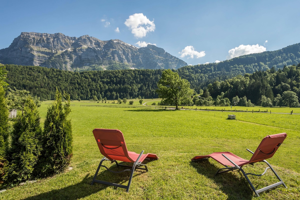 Two reclining lounge chairs are positioned on a grassy area, offering a panoramic view of distant mountains and lush greenery. The clear blue sky is dotted with a few clouds, creating a serene outdoor setting perfect for relaxation.