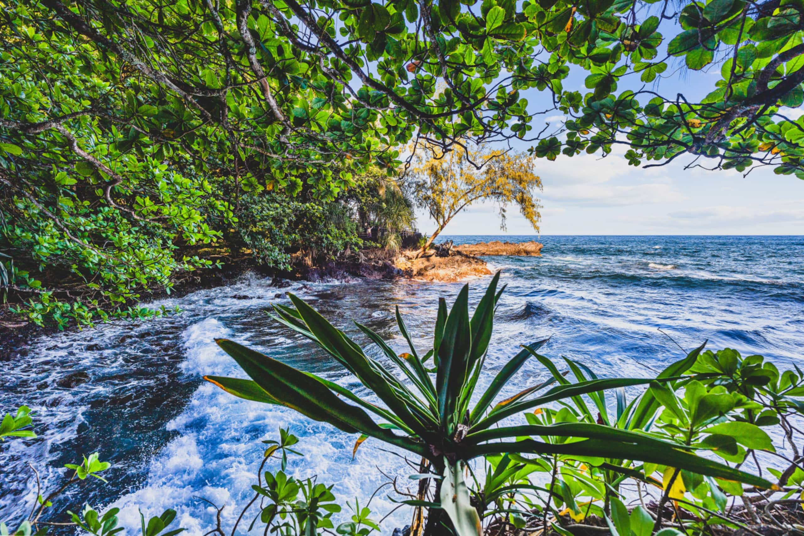 Condo in Kailua-Kona · ★4.87 · 2 bedrooms · 3 beds · 2 private baths - Image 39