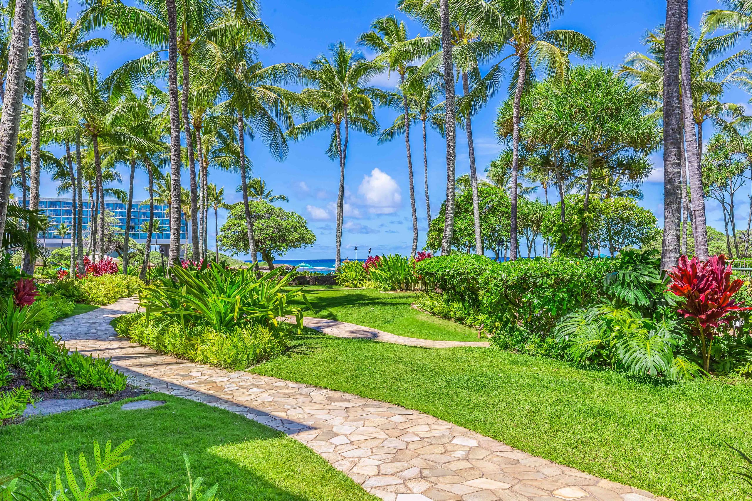Condo in Kahuku · ★4.96 · 3 bedrooms · 3 beds · 2 shared baths - Image 24