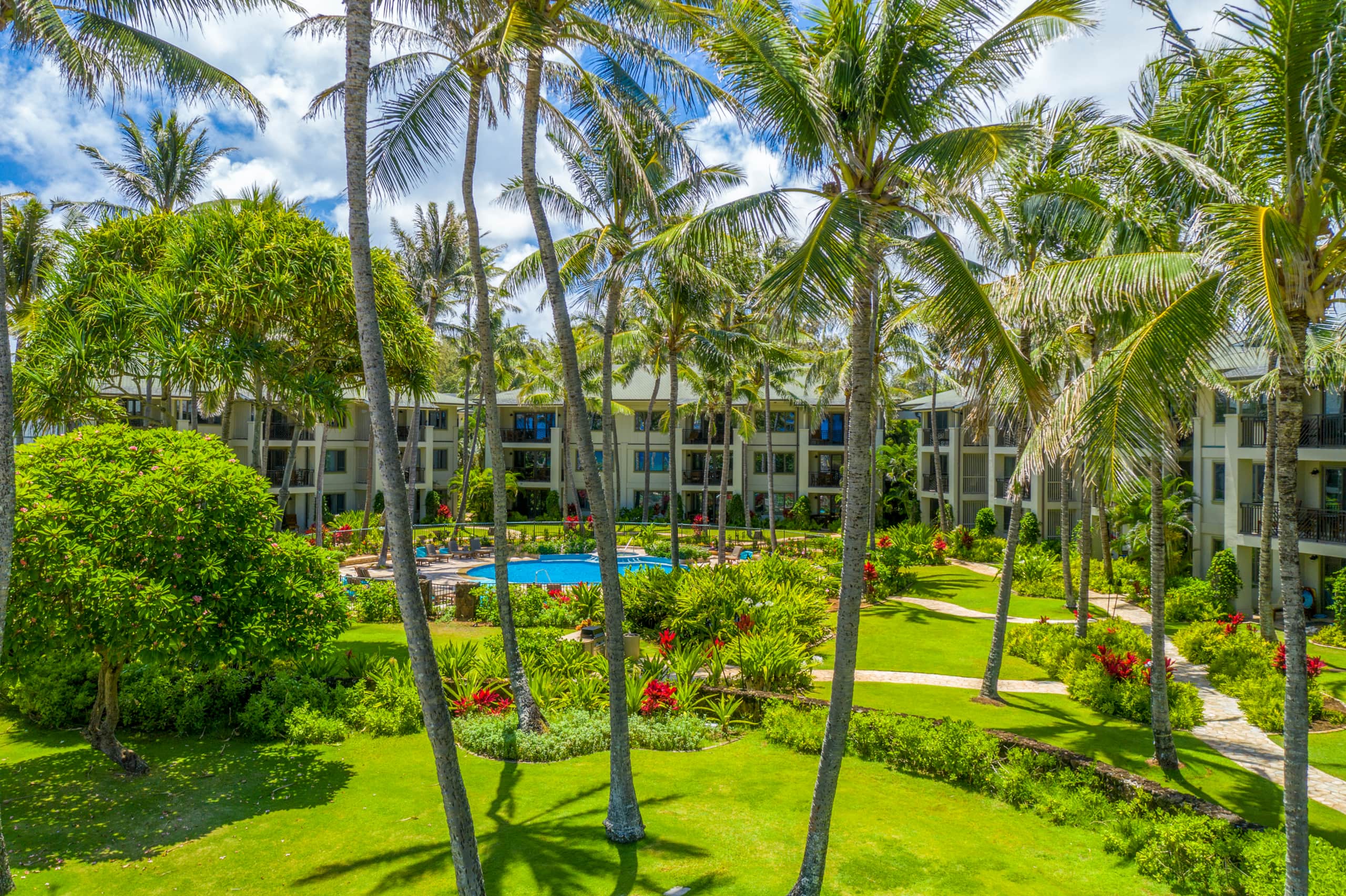 Condo in Kahuku · ★4.94 · 3 bedrooms · 3 beds · 2 shared baths - Image 28
