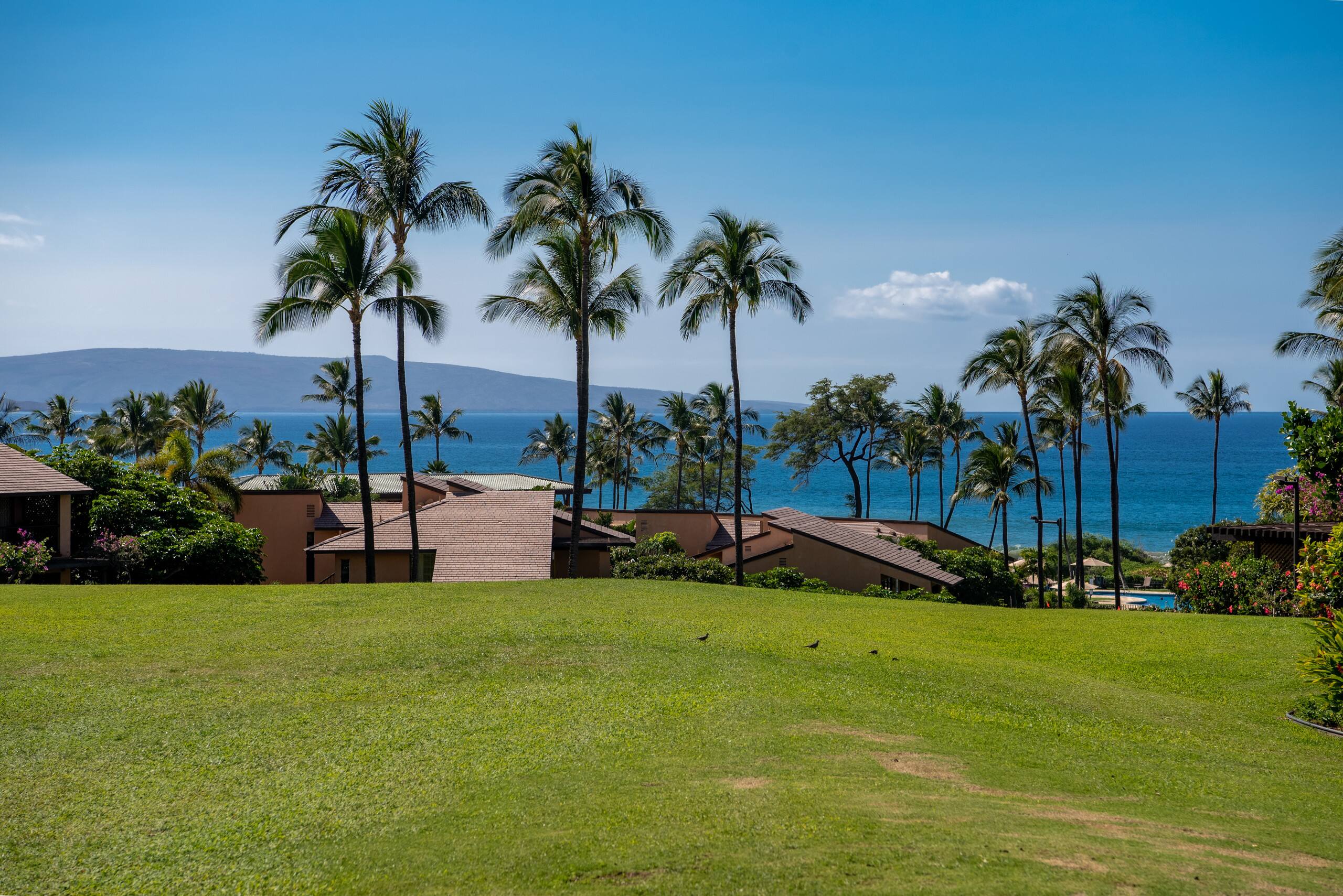 Condo in Kihei · ★4.8 · 1 bedroom · 1 bed · 2 baths - Image 20