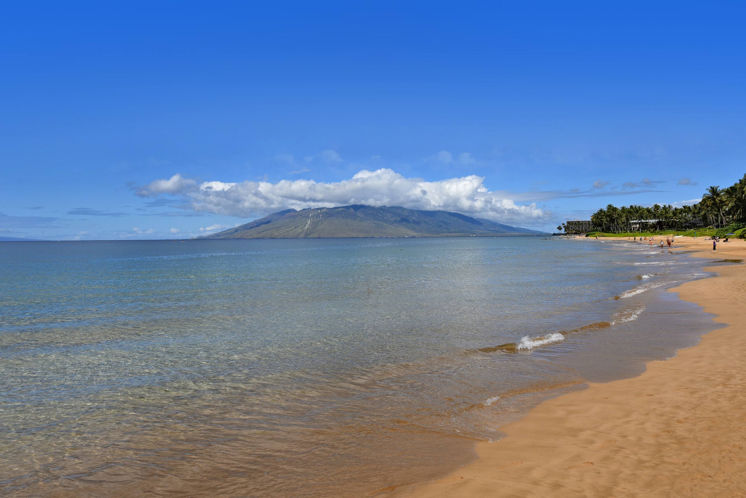 Condo in Kihei · ★4.8 · 1 bedroom · 1 bed · 2 baths - Image 22