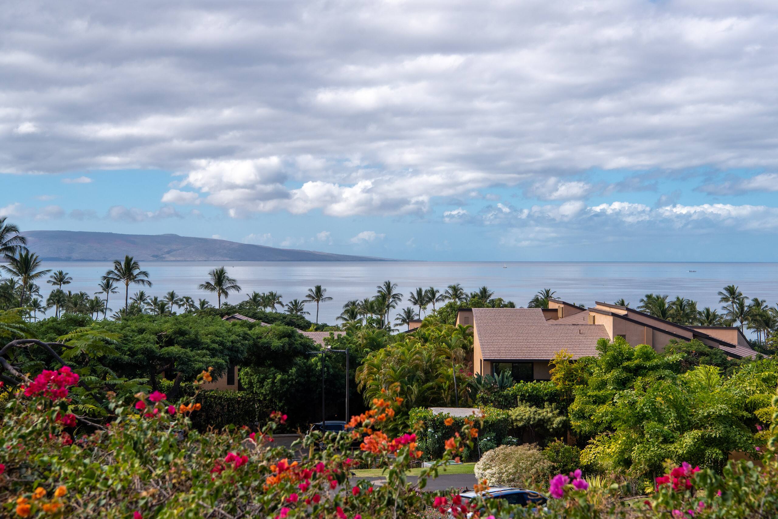 Condo in Kihei · ★5.0 · 1 bedroom · 2 beds · 2 baths - Image 32