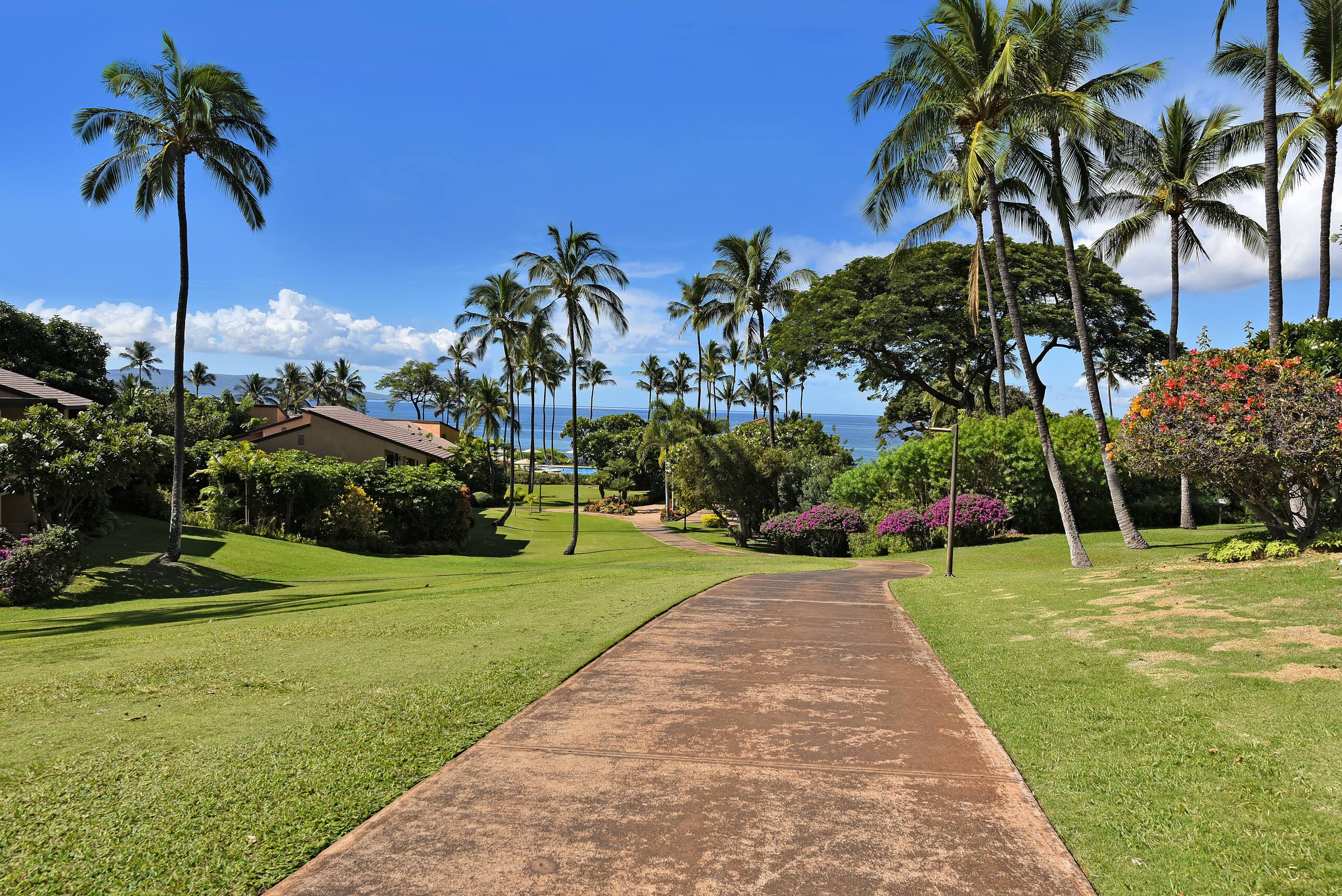 Condo in Kihei · ★5.0 · 1 bedroom · 2 beds · 2 baths - Image 24