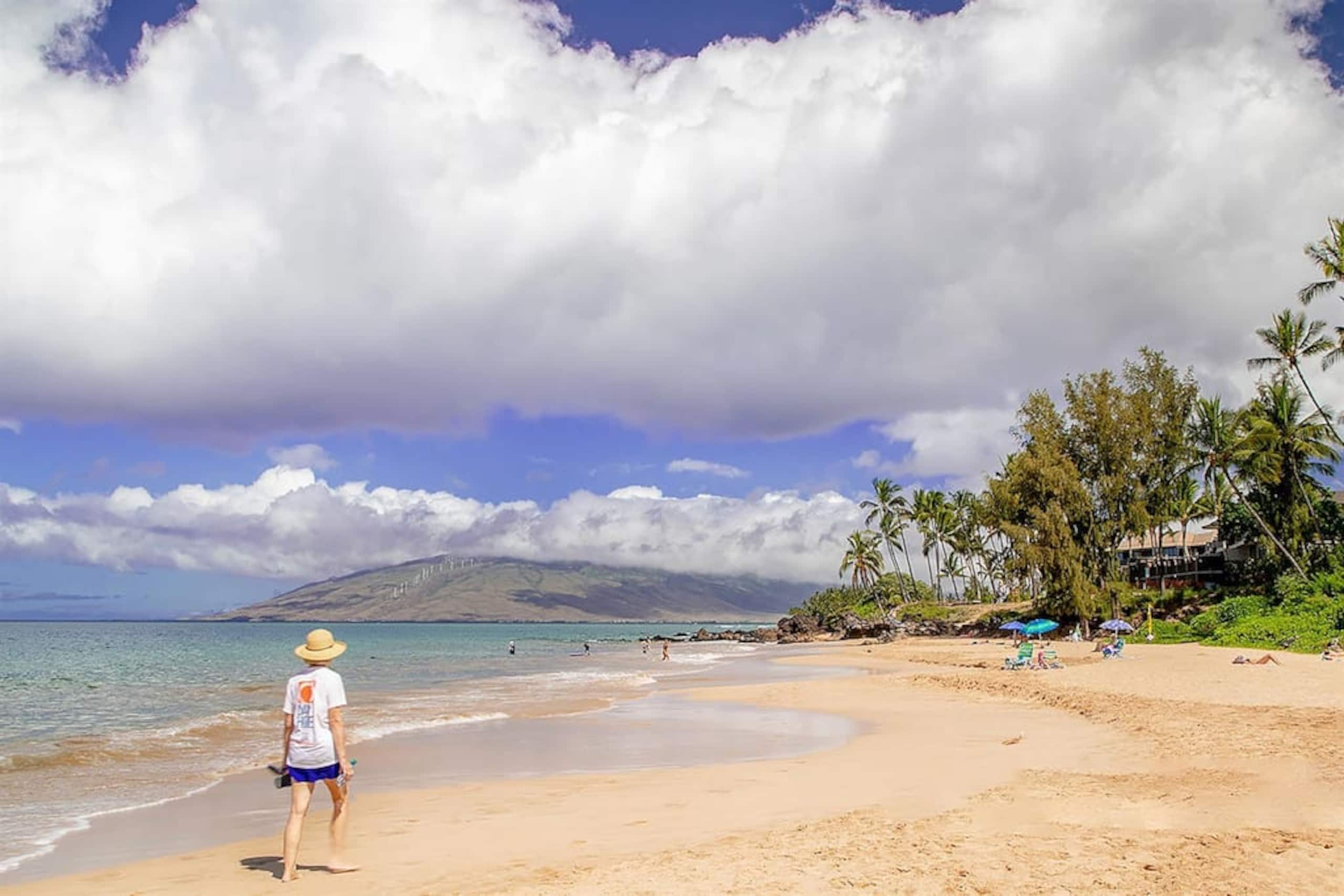 Condo in Kihei · ★4.74 · 1 bedroom · 2 beds · 1 bath - Image 1