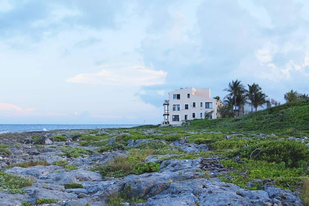 The image captures a coastal scene, featuring a beachside building positioned against a backdrop of gentle waves and a cloudy sky. Coastal vegetation and rocky terrain fill the foreground, providing a natural contrast to the white structure and palm trees along the shoreline.