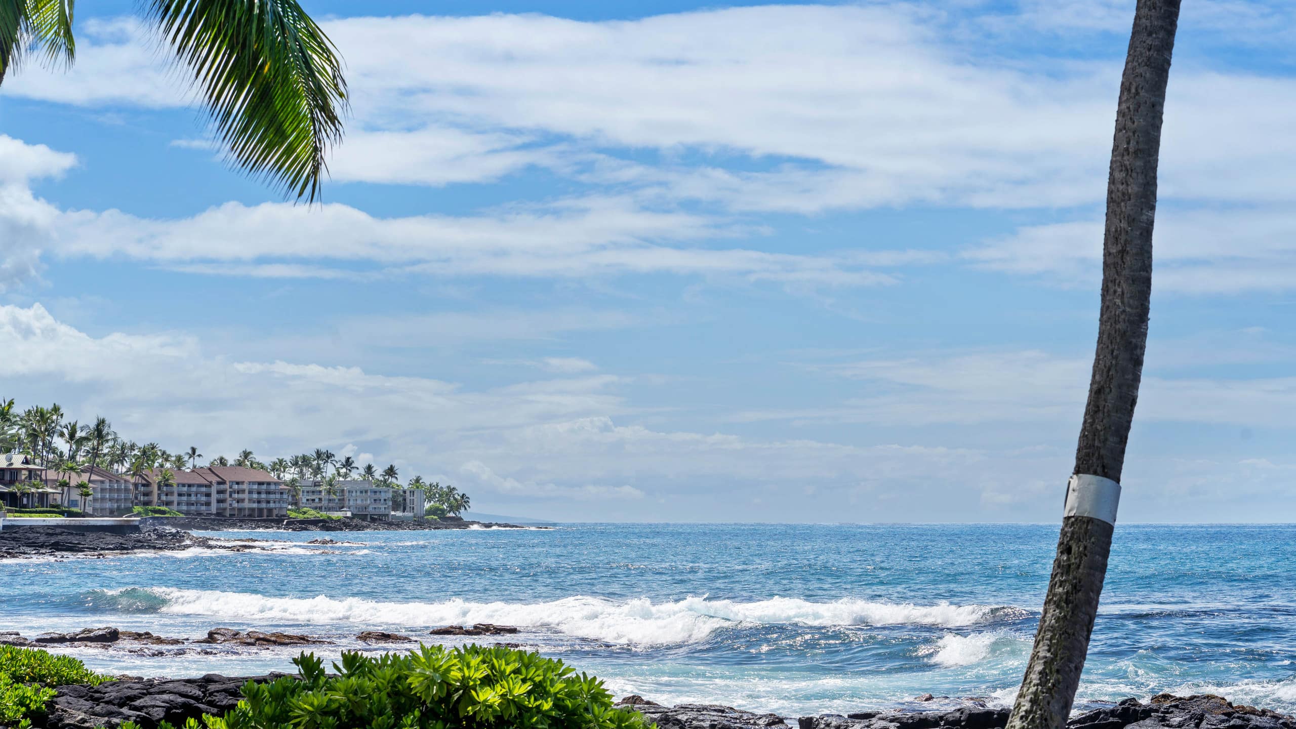 Condo in Kailua-Kona · ★4.8 · 2 bedrooms · 3 beds · 2 baths - Image 26