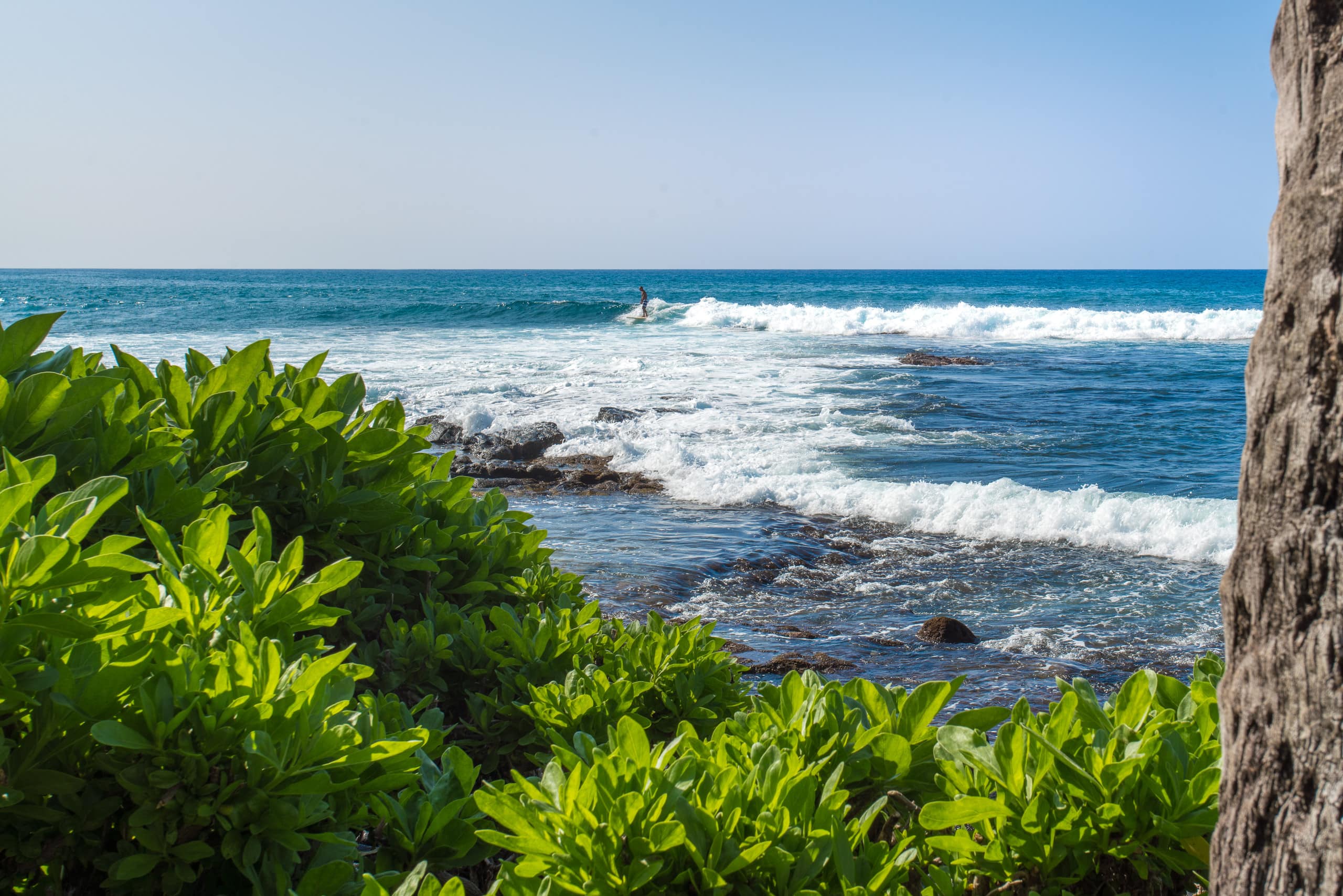 Condo in Kailua-Kona · ★4.77 · 1 bedroom · 2 beds · 1 bath - Image 18