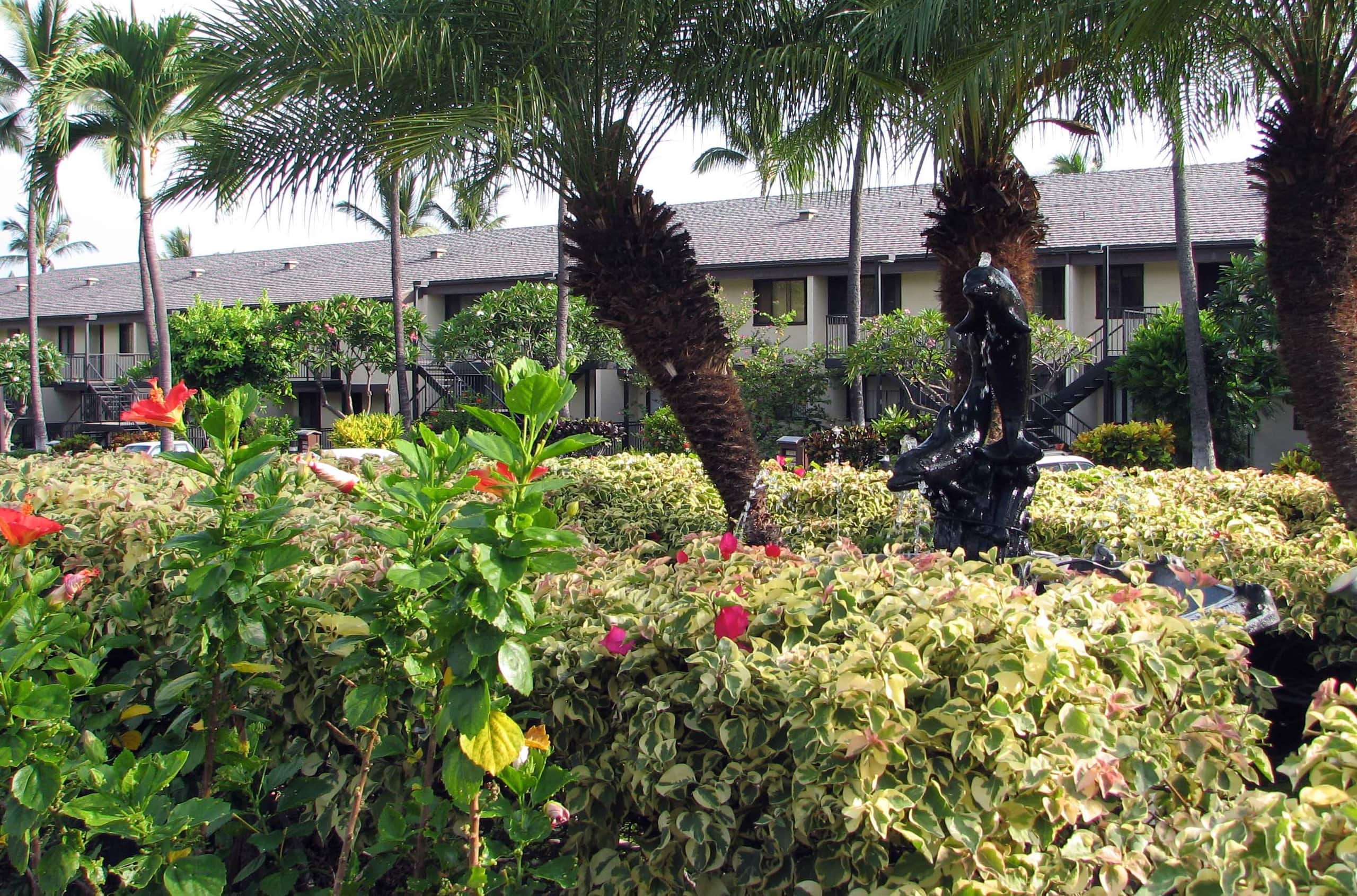 Condo in Kailua-Kona · ★4.79 · 3 bedrooms · 4 beds · 2 private baths - Image 15