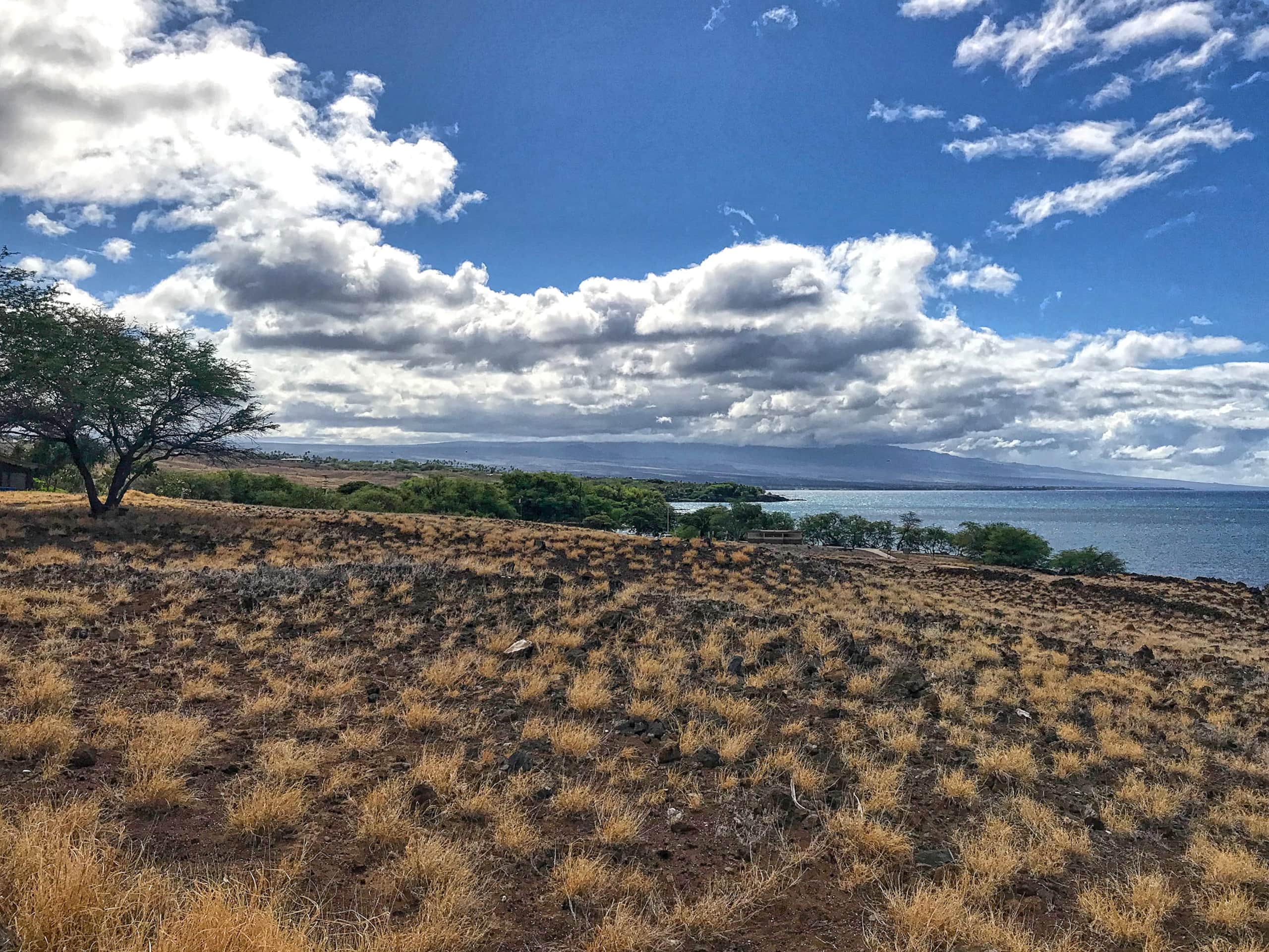 Condo in Kailua-Kona · ★4.47 · 1 bedroom · 2 beds · 1 bath - Image 20