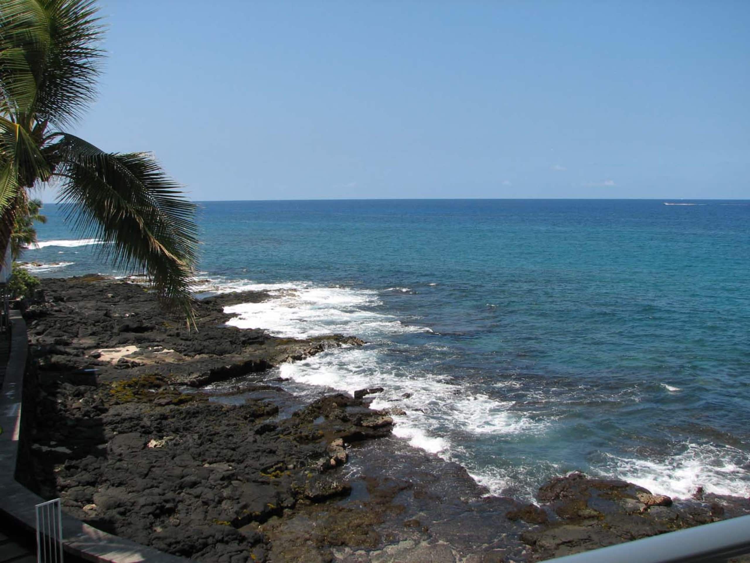 Condo in Kailua-Kona · ★4.47 · 1 bedroom · 2 beds · 1 bath - Image 22
