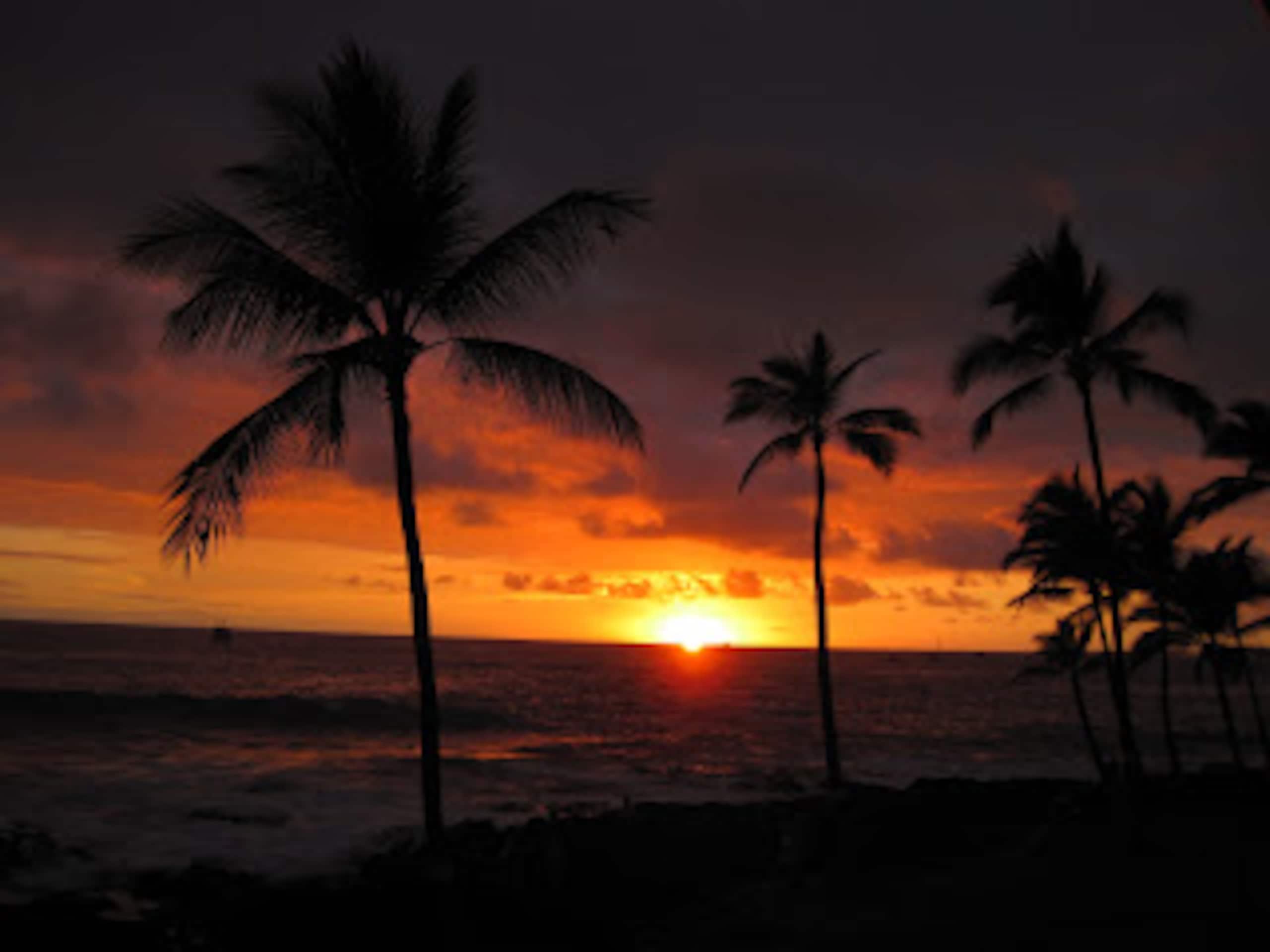 Condo in Kailua-Kona · ★4.68 · 1 bedroom · 2 beds · 1 bath - Image 28