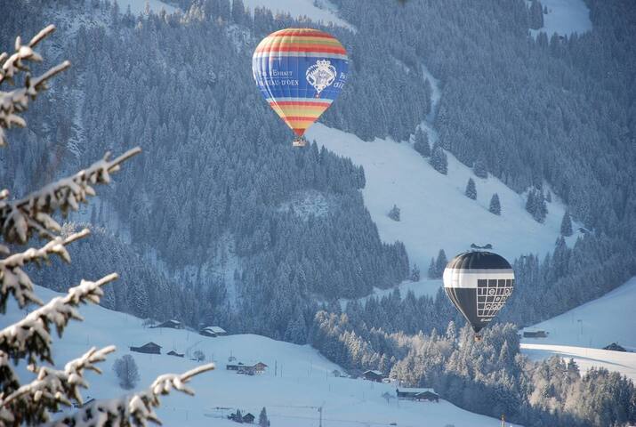 High Mountain Chalet – Great Views! gallery image 3