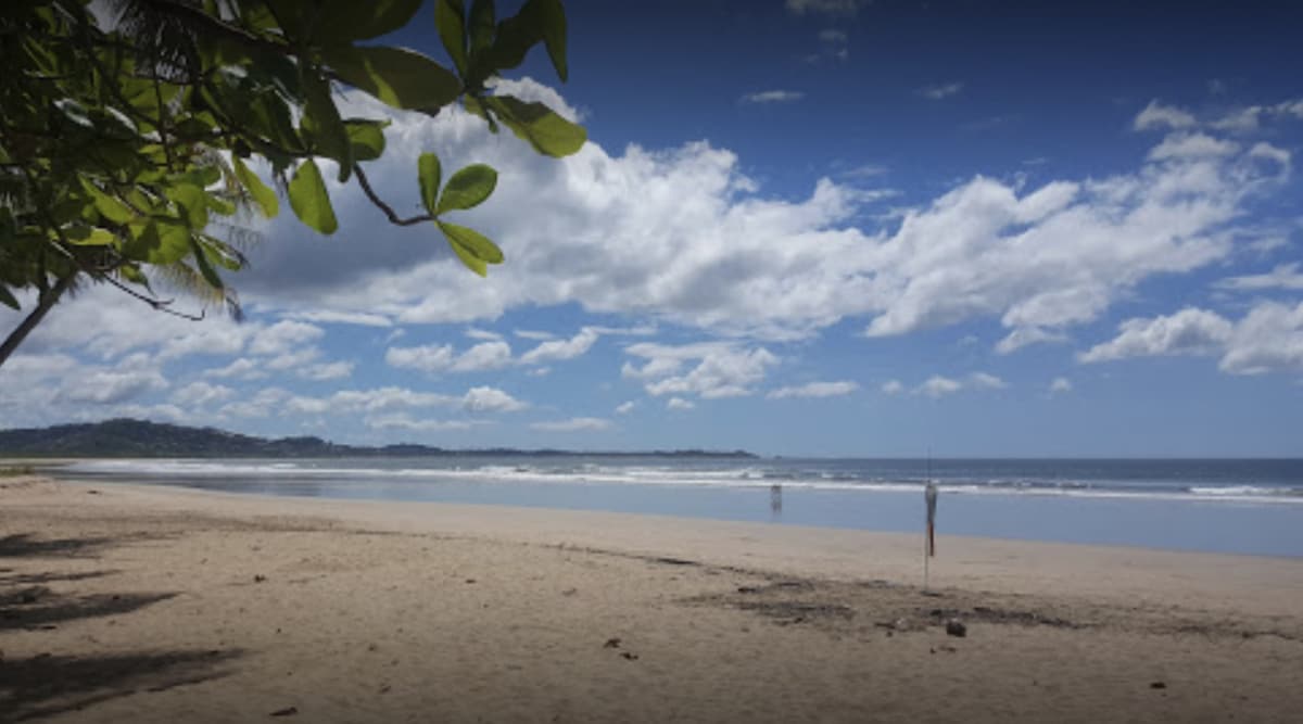 A serene beach view showcases soft, golden sand meeting gentle waves under a bright blue sky dotted with clouds. Lush green foliage frames the scene, providing a natural contrast to the expansive shoreline and inviting atmosphere.