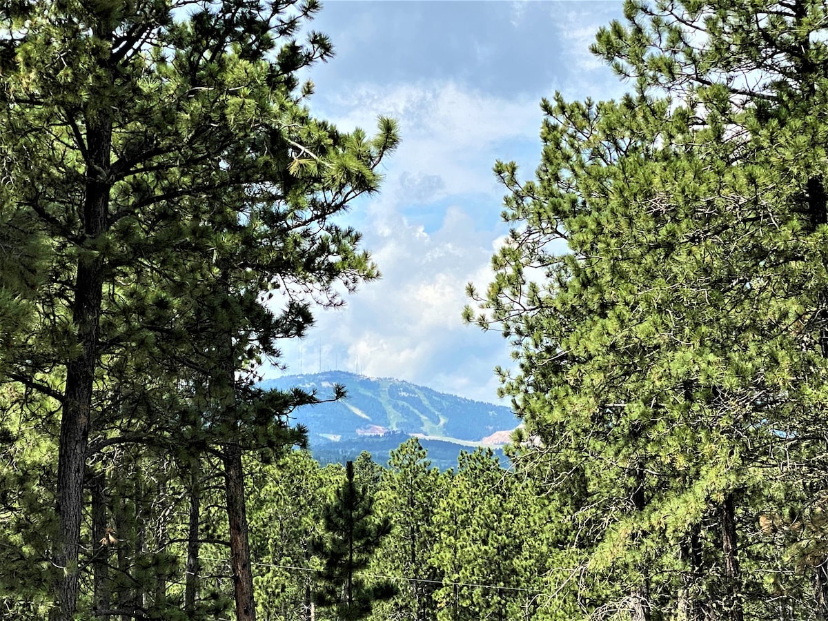 A serene view framed by tall pine trees showcases distant mountains under a partly cloudy sky. Lush greenery spreads throughout the foreground, providing a sense of tranquility and natural beauty.