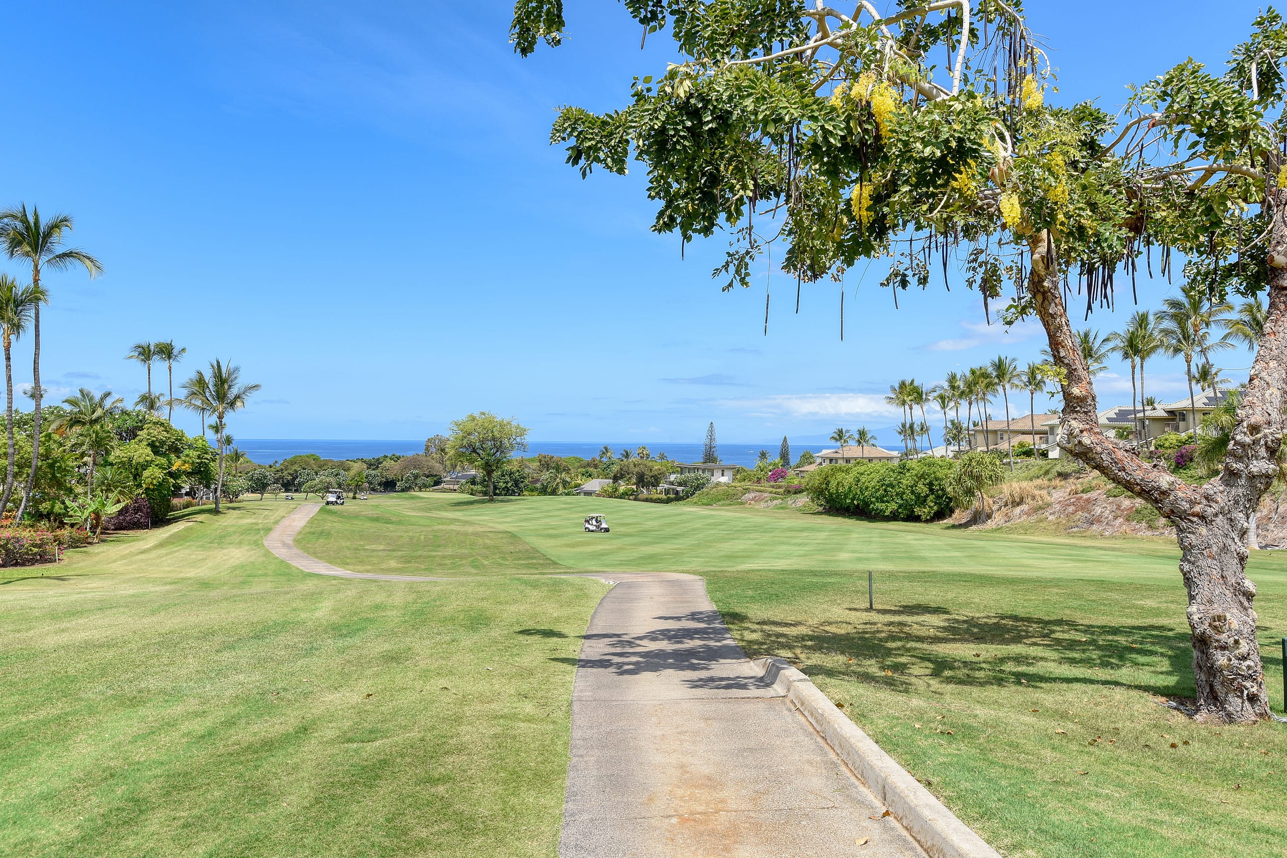 Condo in Kihei · ★4.8 · 2 bedrooms · 3 beds · 2 private baths - Image 25