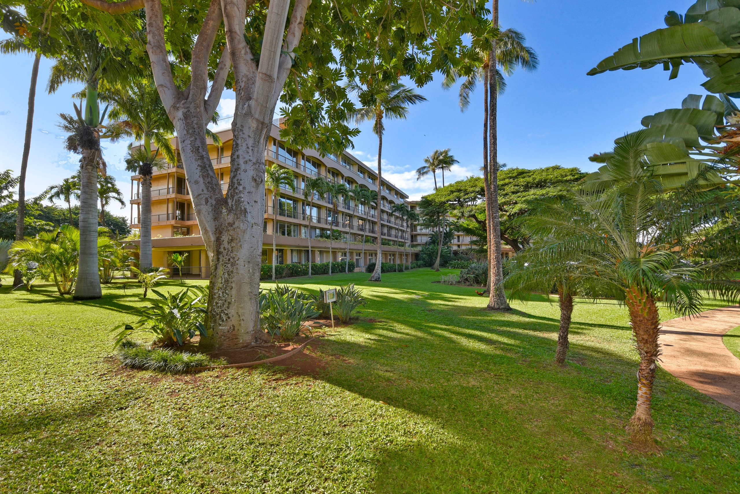 Condo in Lahaina · ★4.54 · Studio · 2 beds · 1 bath - Image 26