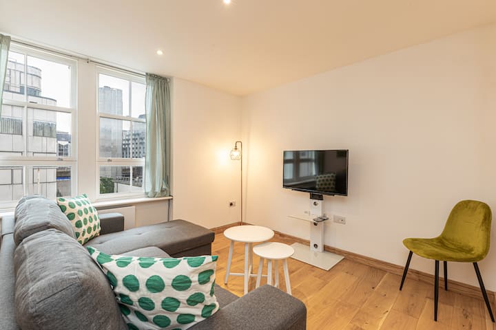 Stunning 2 Beds 2 Baths Apartments Central London